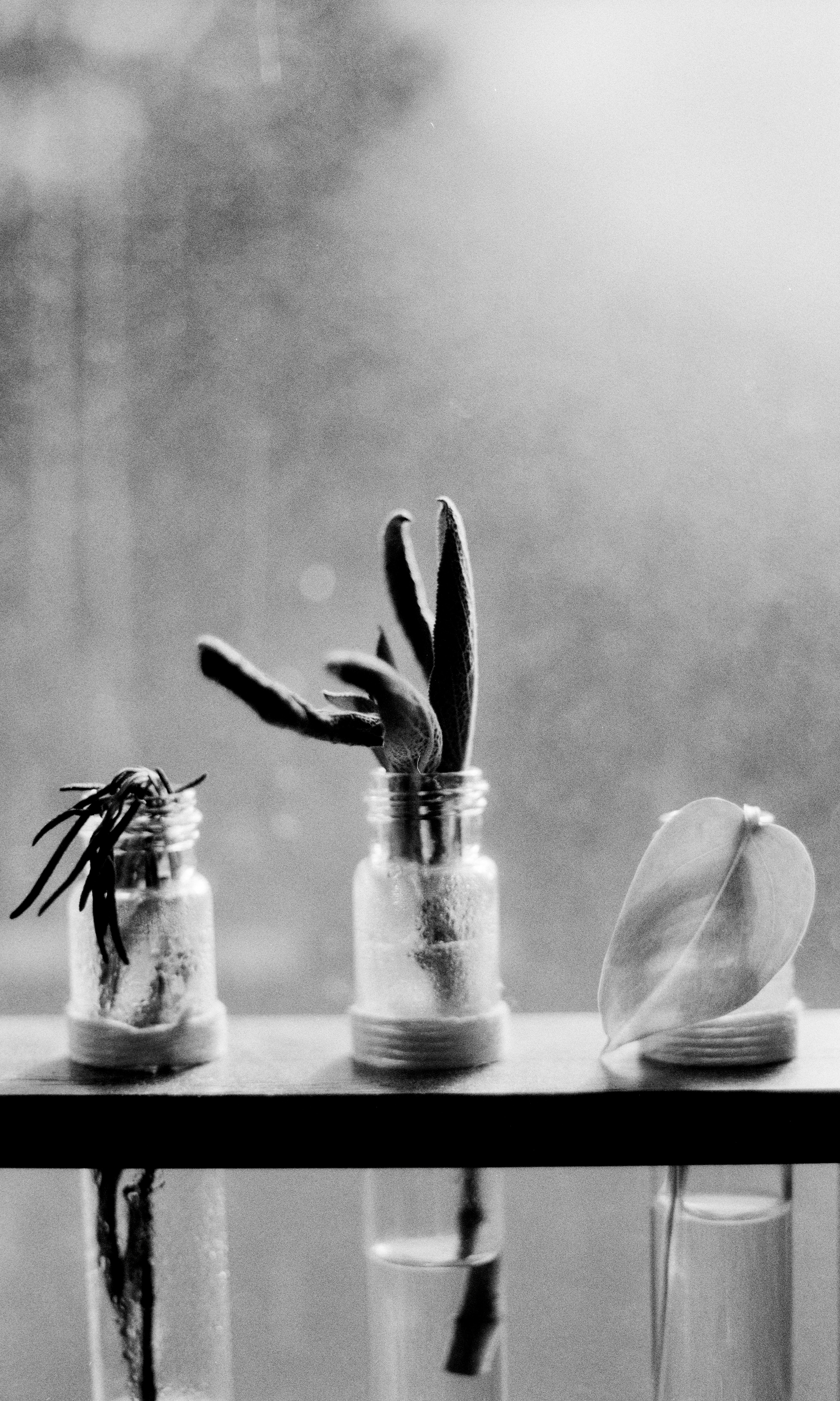 2021-11-02 - 35mm film