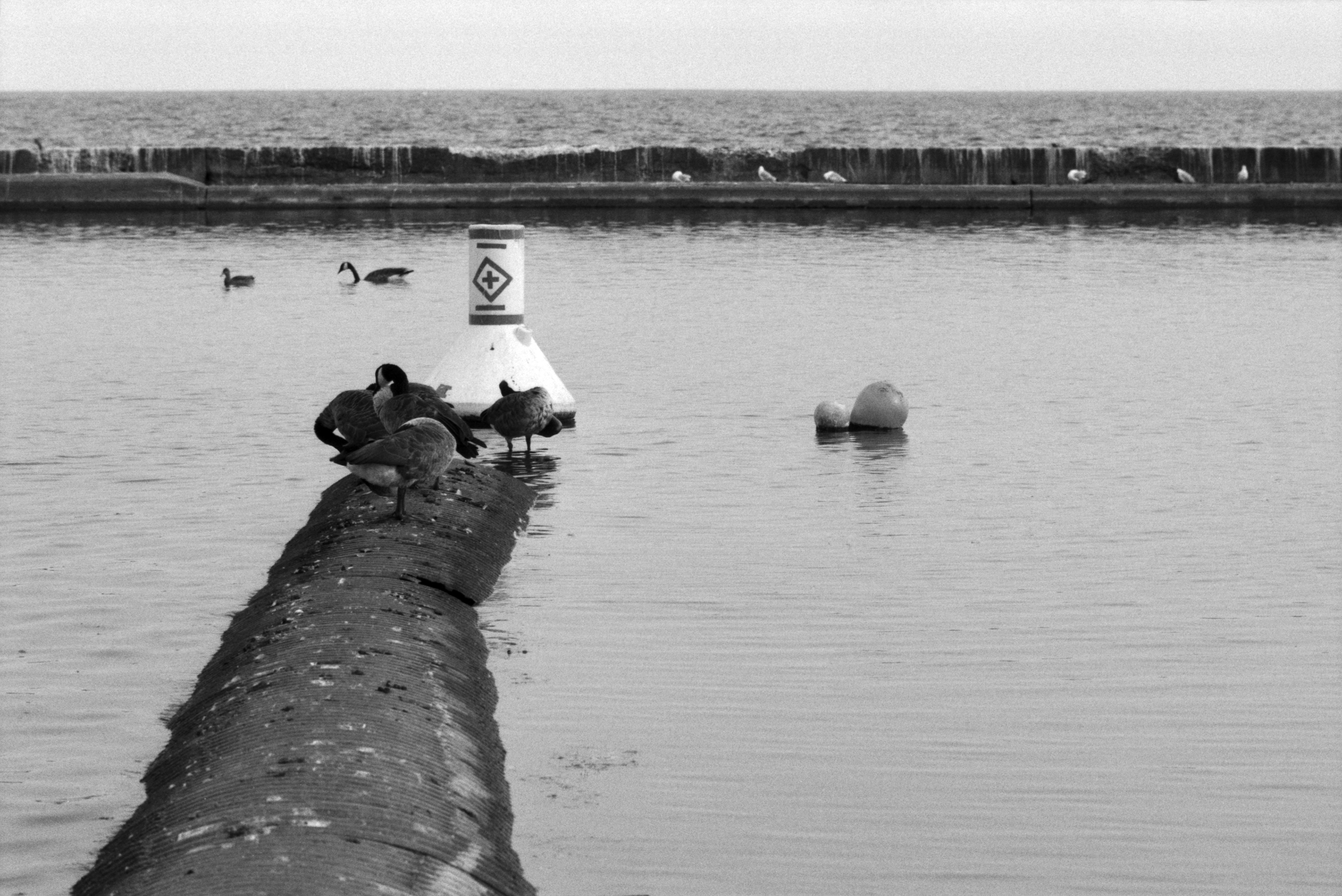 2024-08-13 - 35mm film