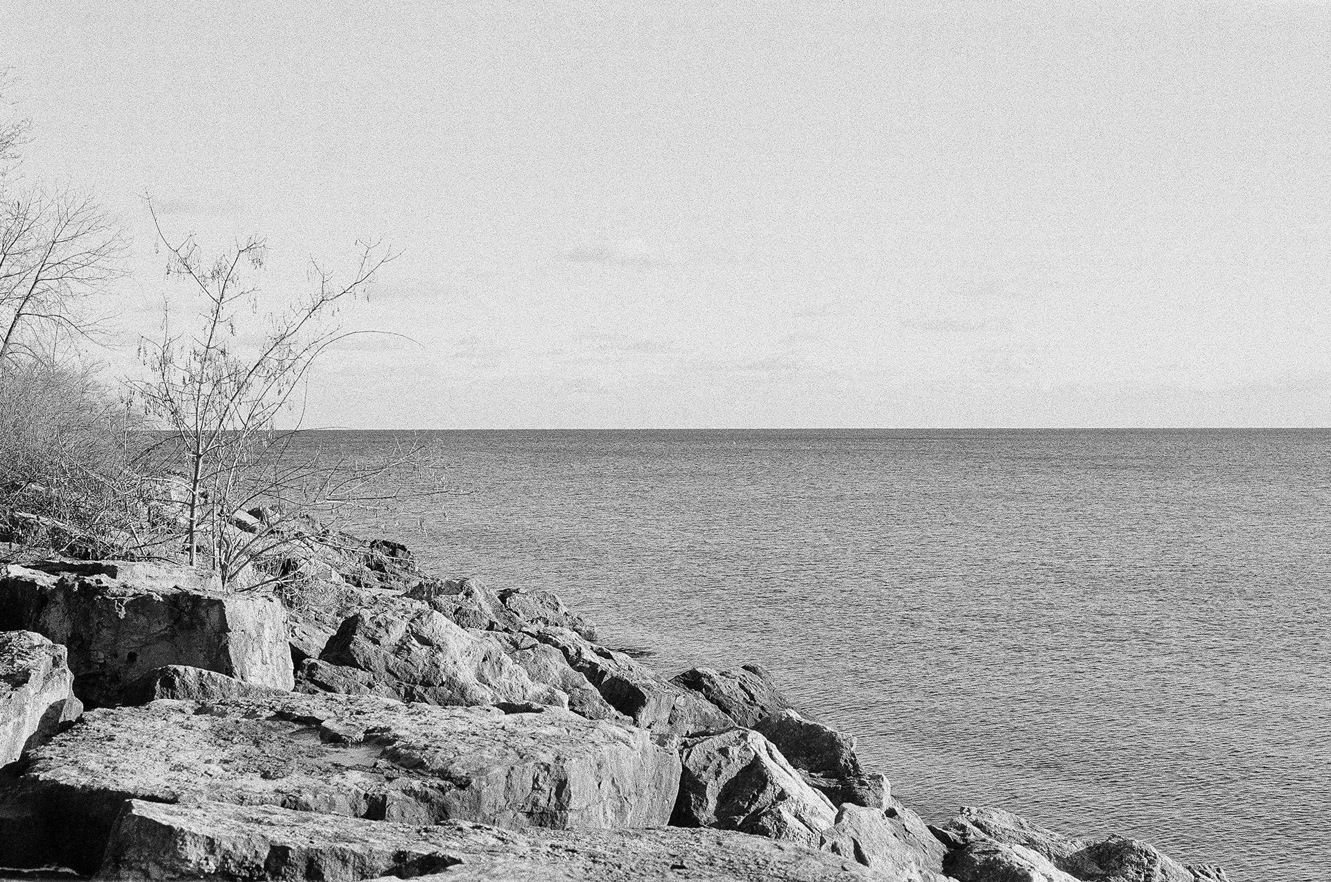 2023-12-19 - 35mm film