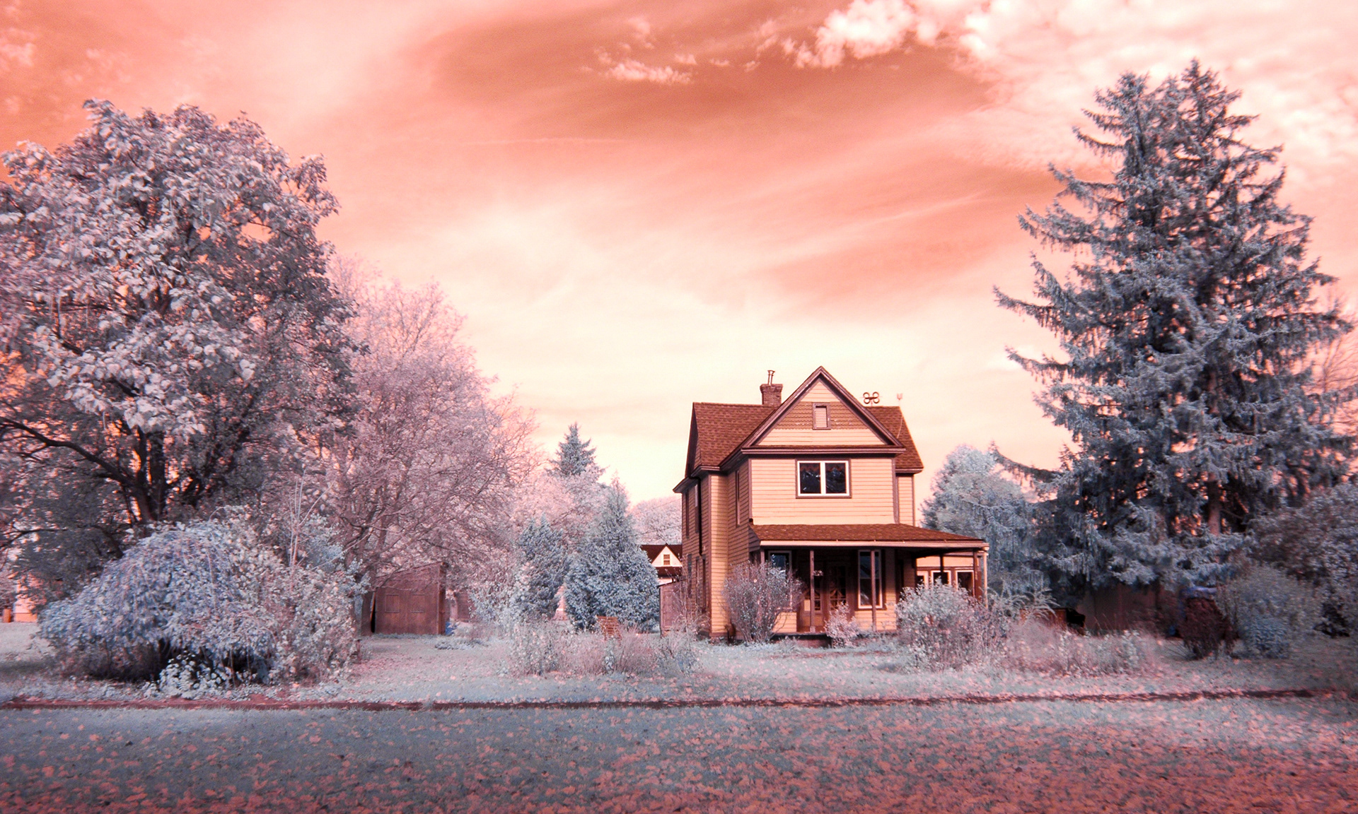 2024-10-31 - infrared digital