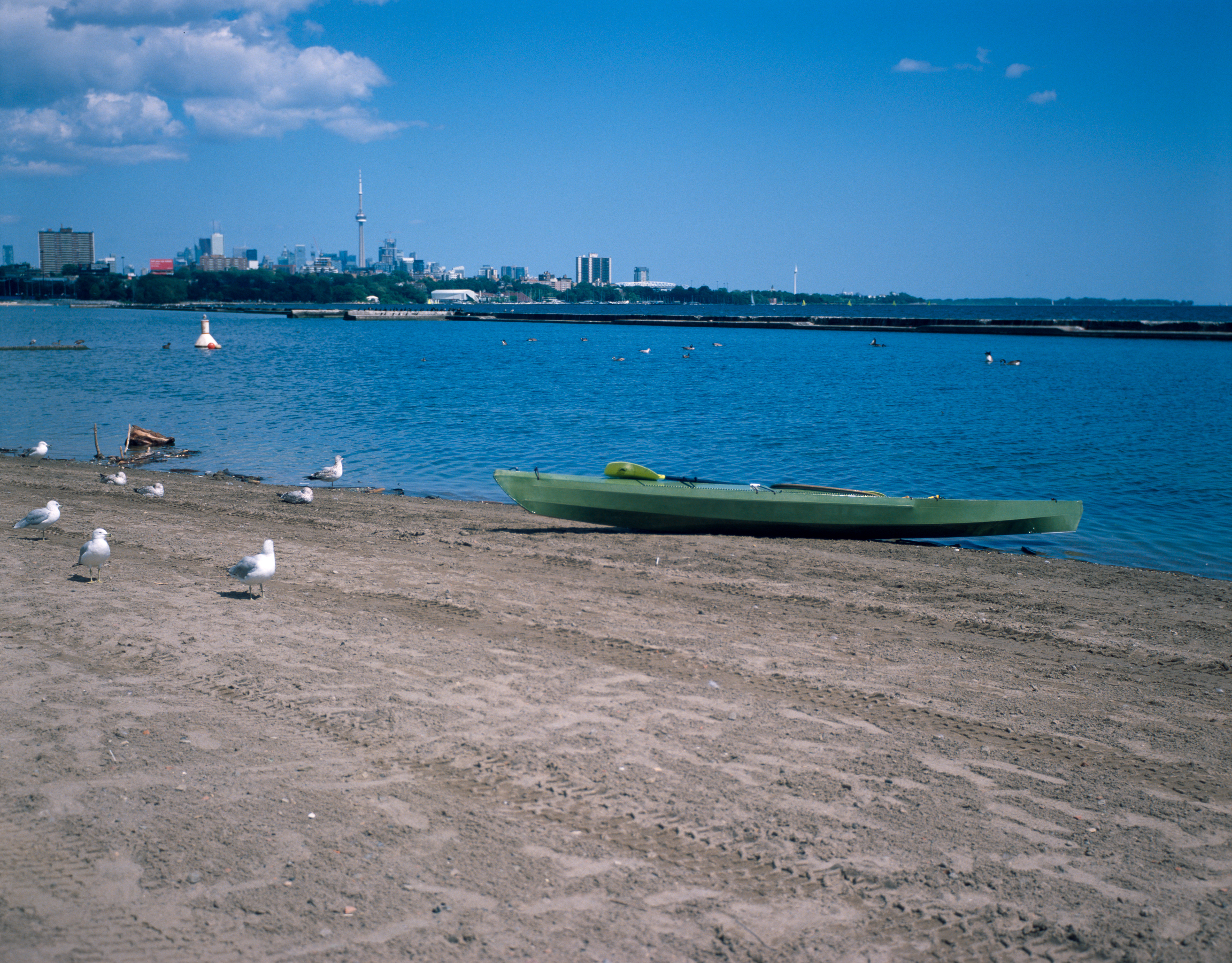 2024-08-22 - medium format film