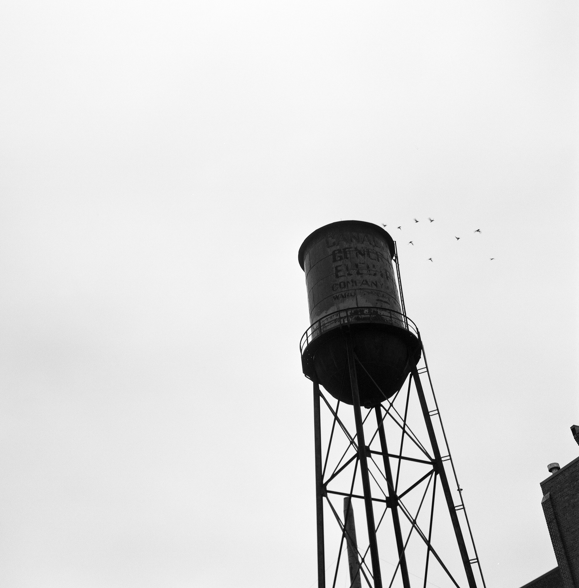 2023-02-16 - medium format film