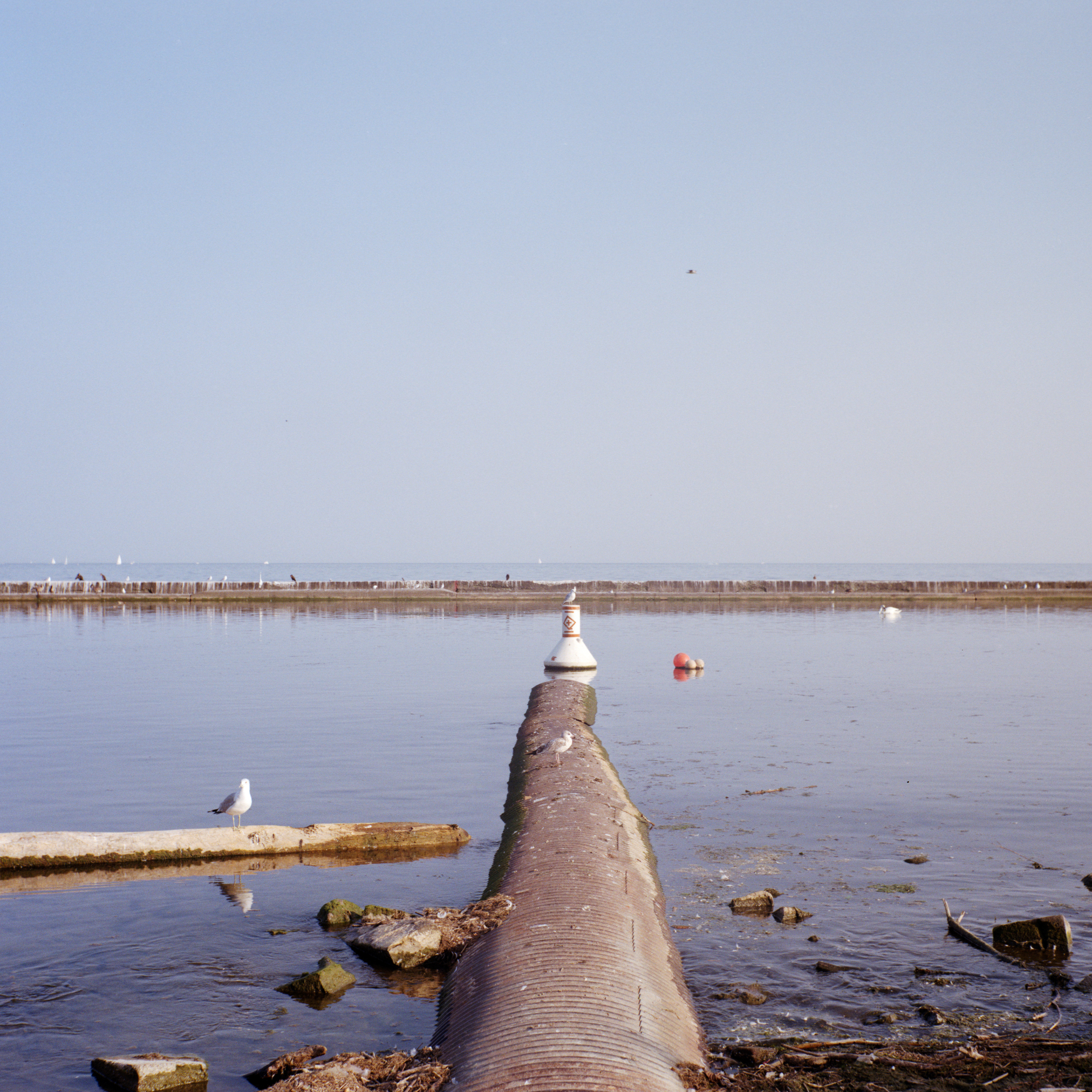 2024-08-15 - medium format film