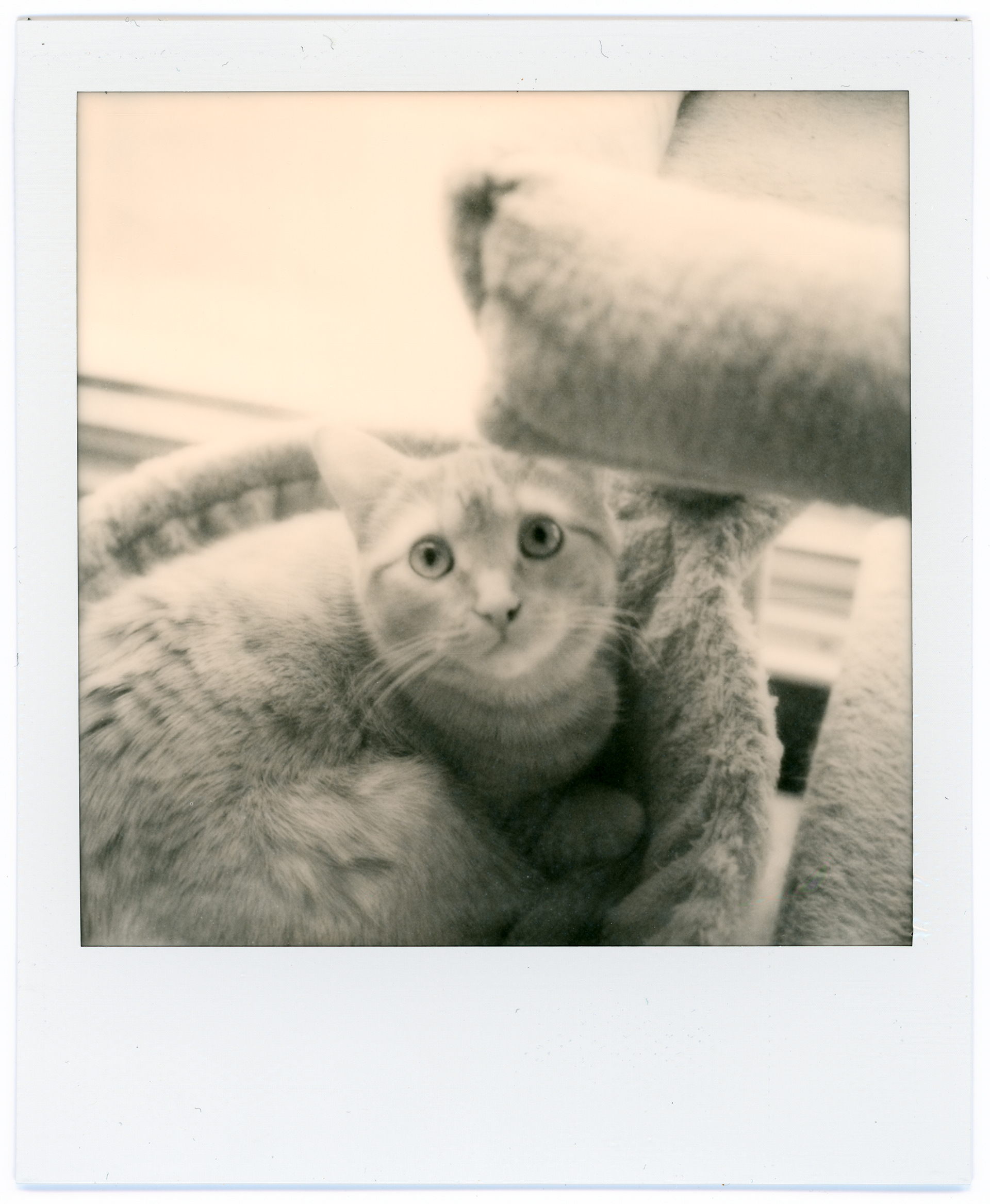 2025-01-04 - instant