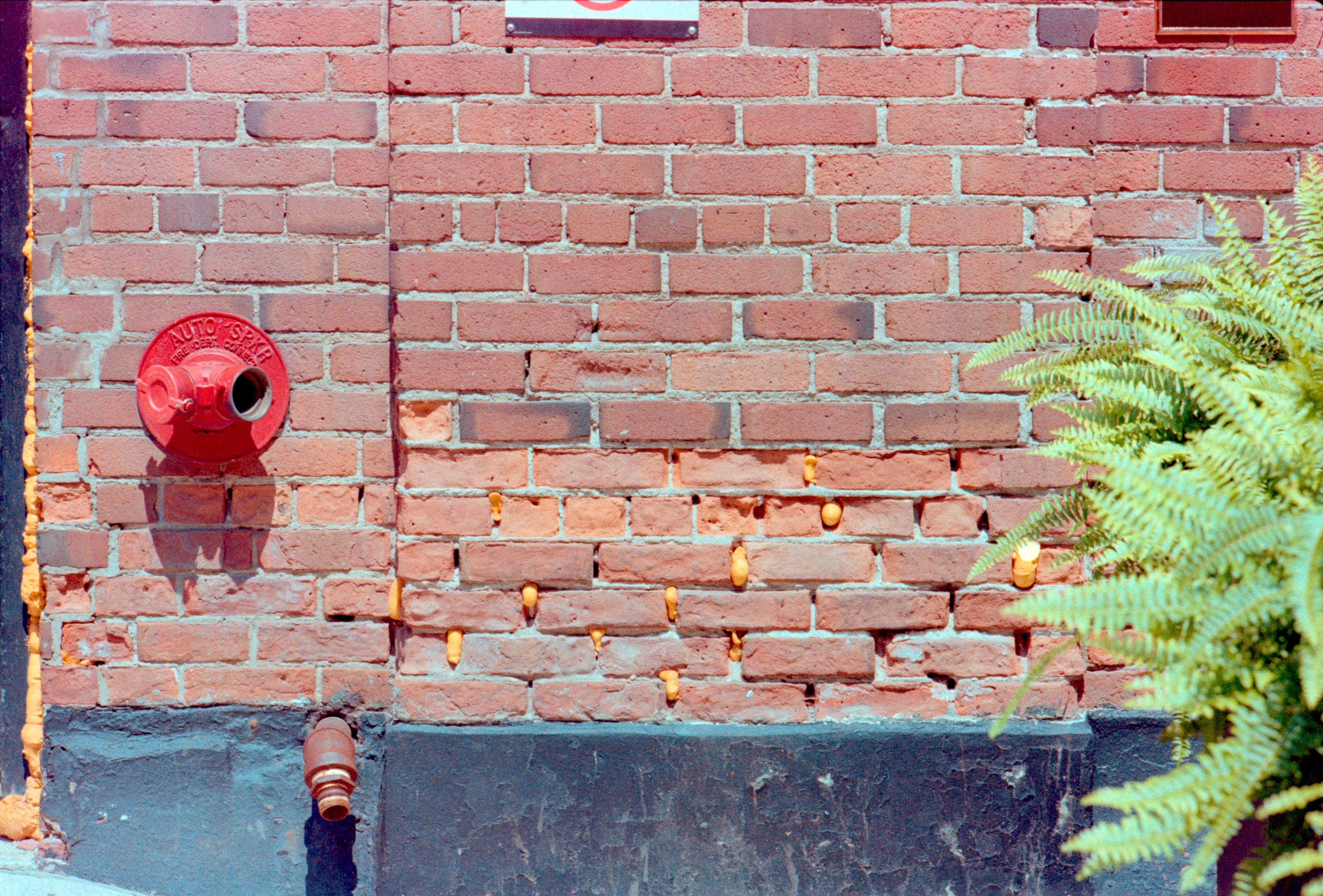 2024-07-13 - 35mm film