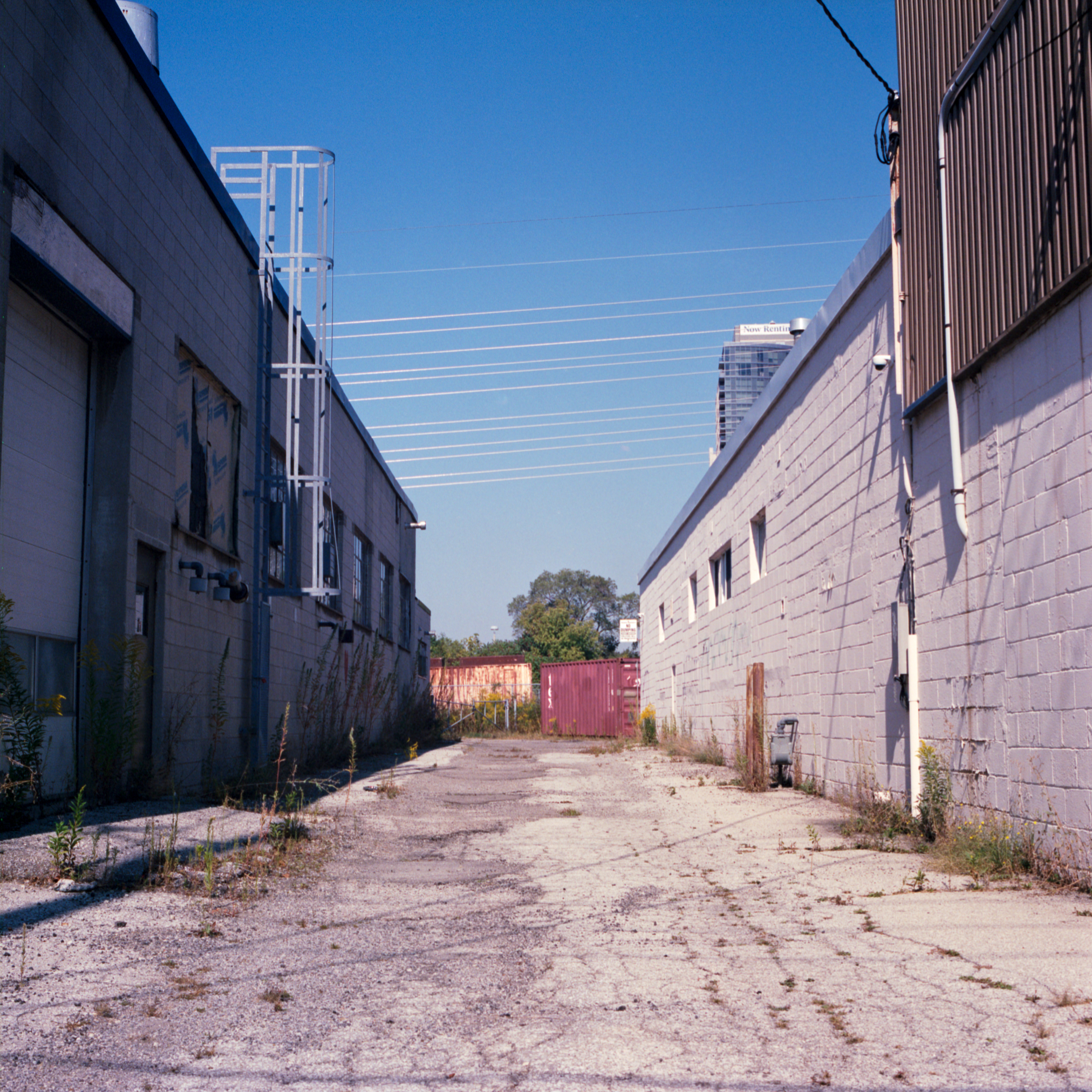 2024-09-16 - medium format film