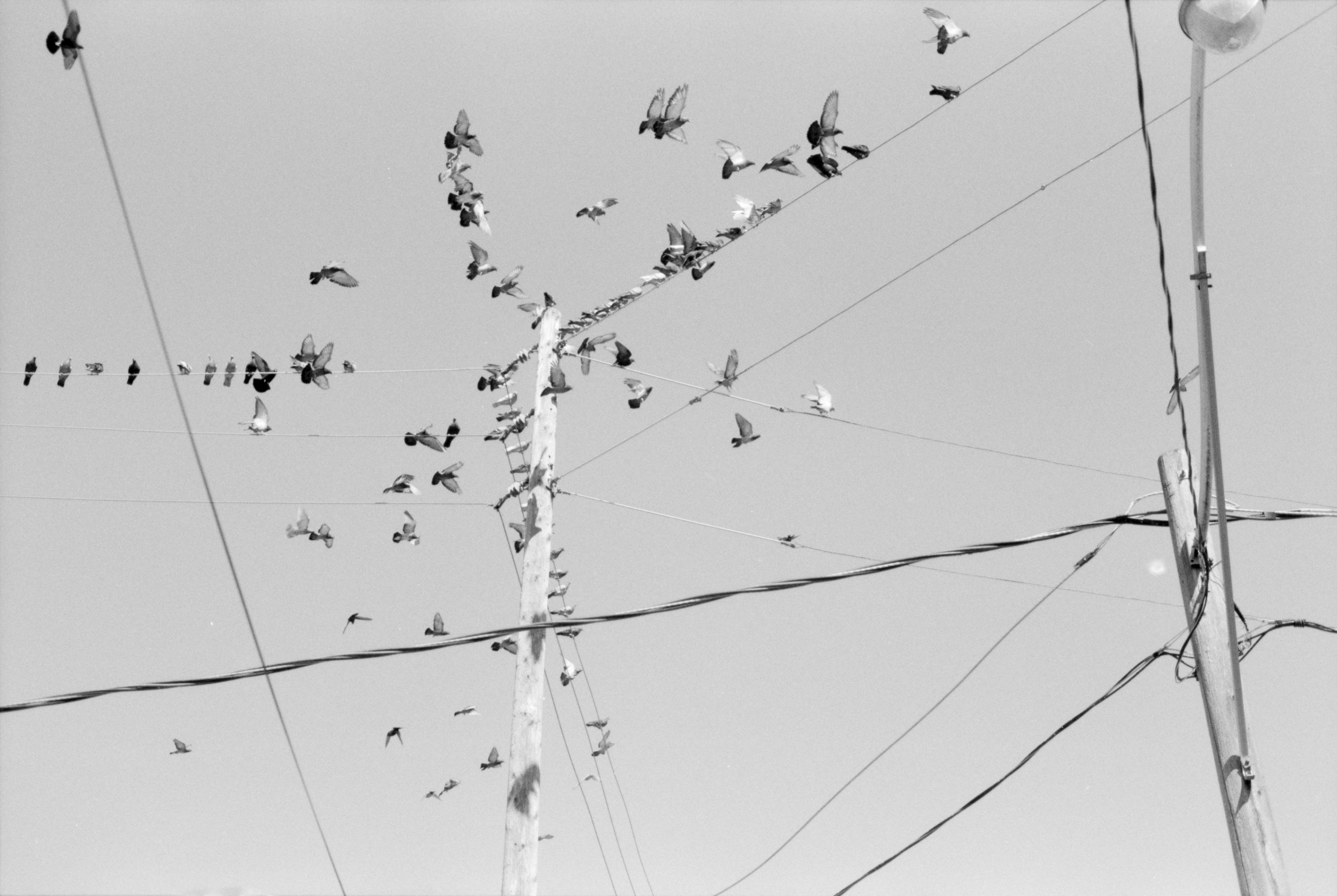 2023-08-31 - 35mm film