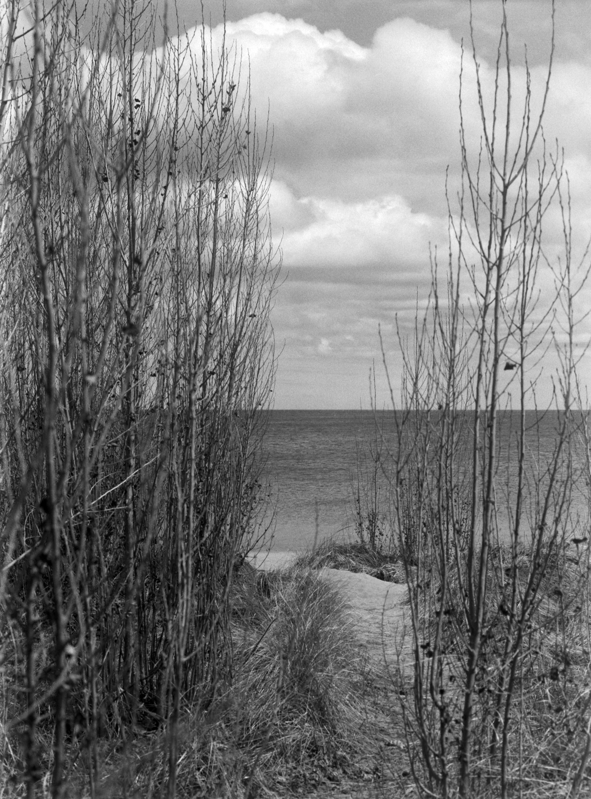 2025-04-15 - medium format film