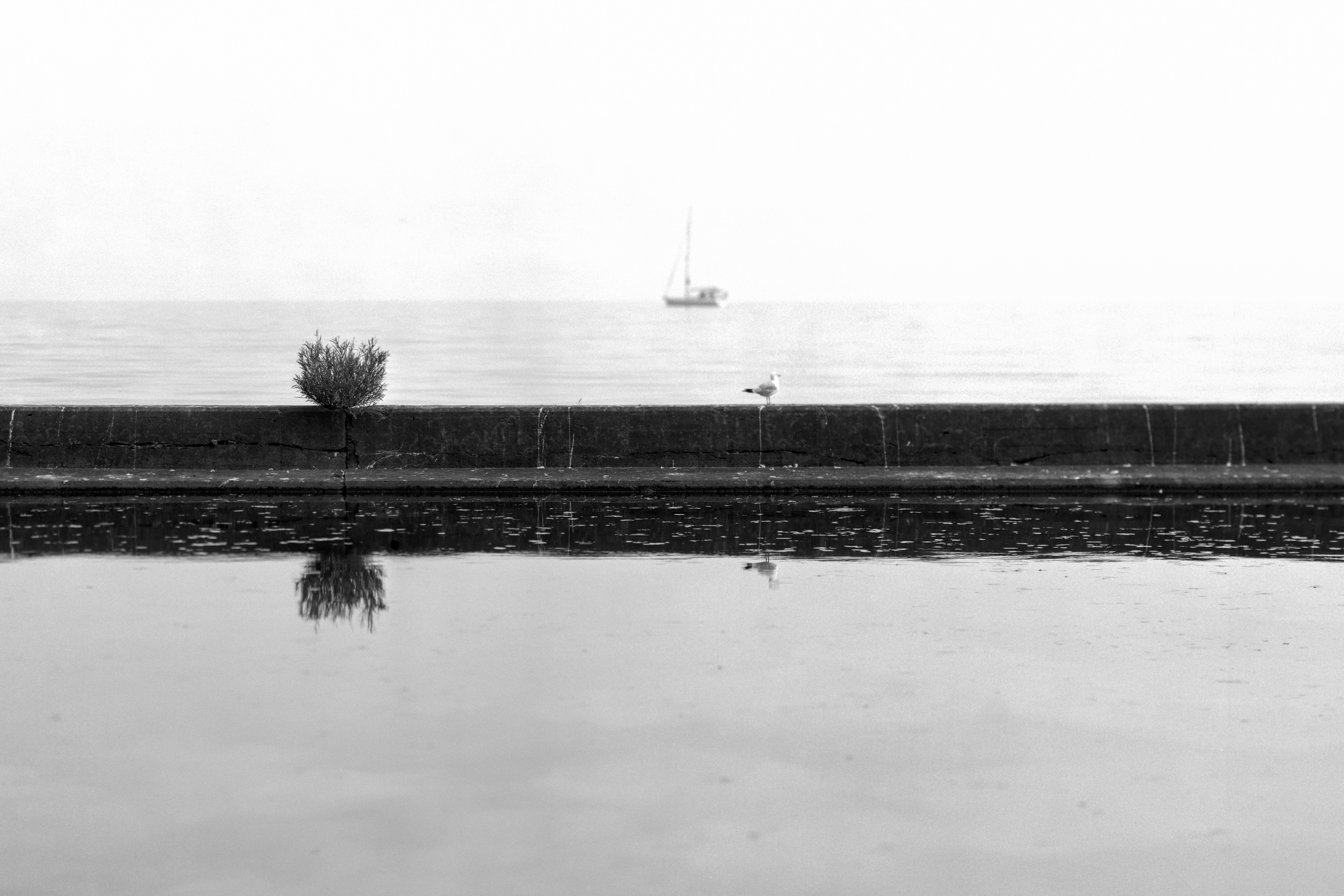 2025-06-25 - 8x10 film
