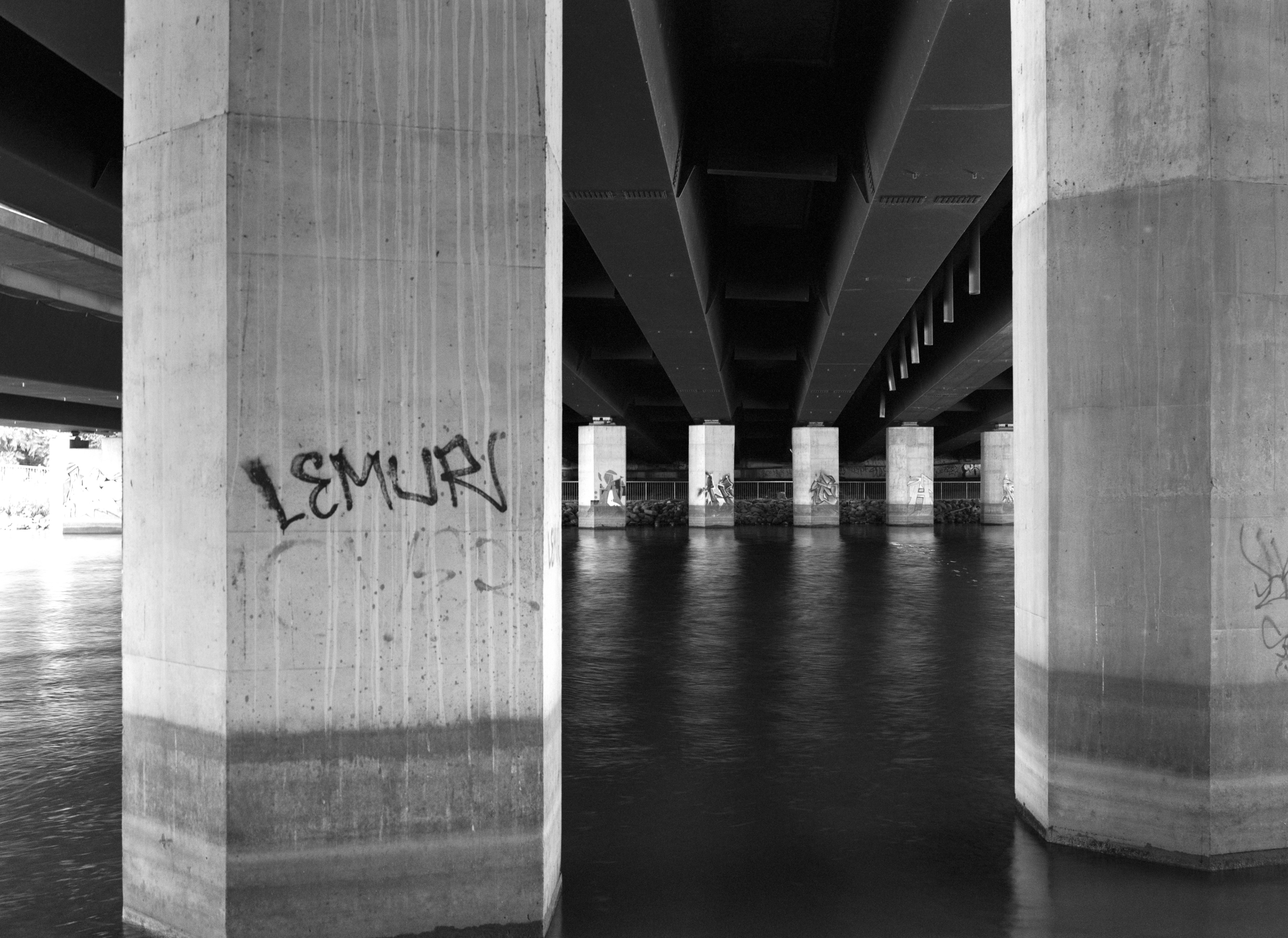 2024-08-15 - medium format film