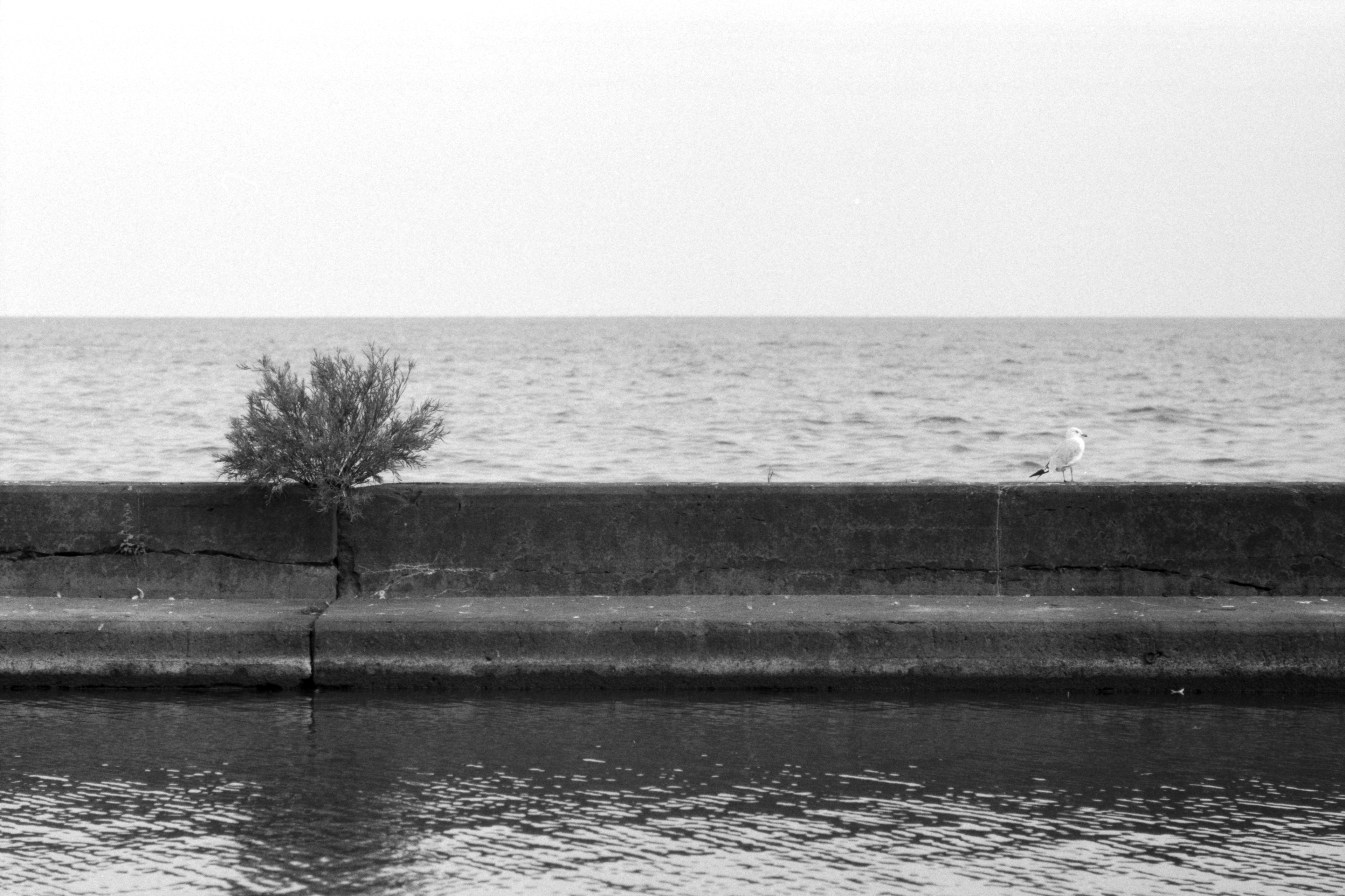 2024-08-13 - 35mm film