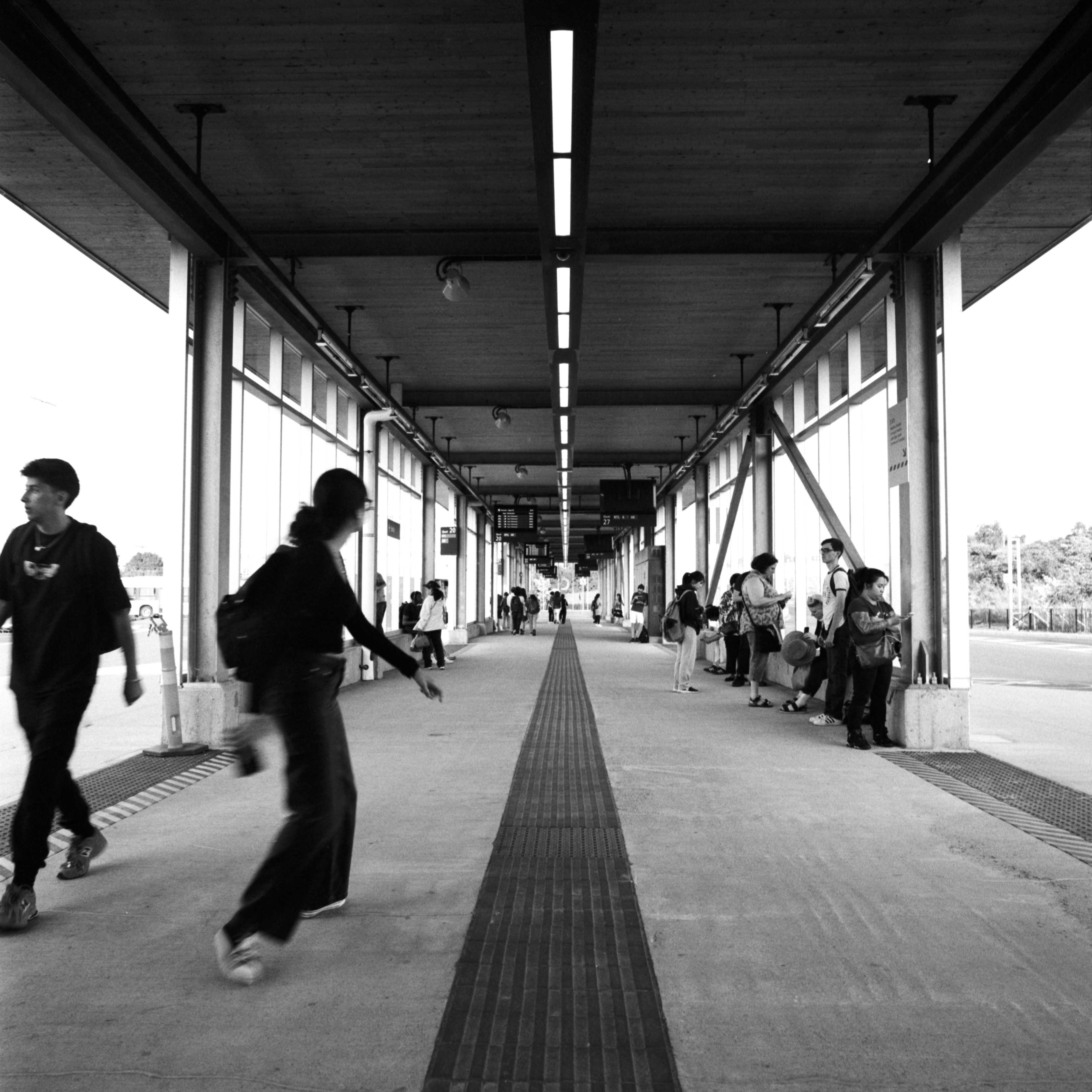 2024-08-26 - medium format film