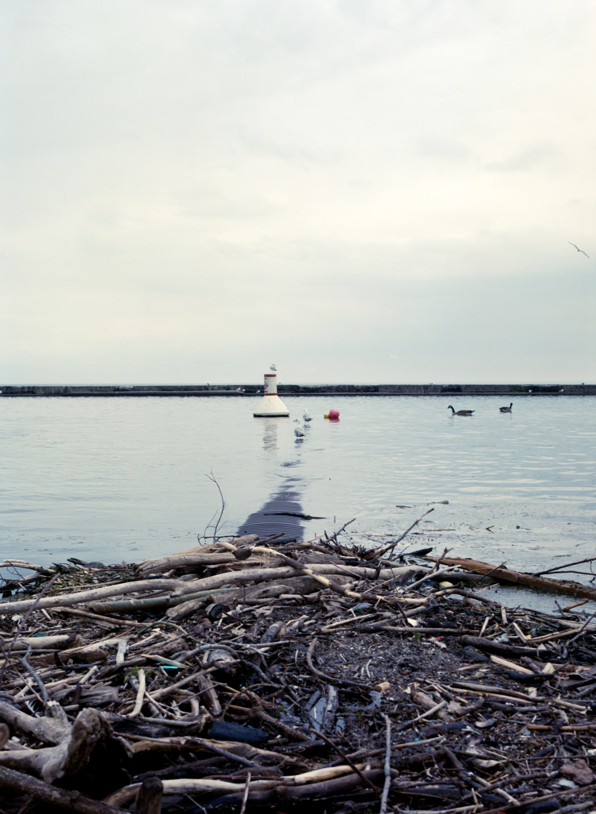 2025-05-29 - medium format film