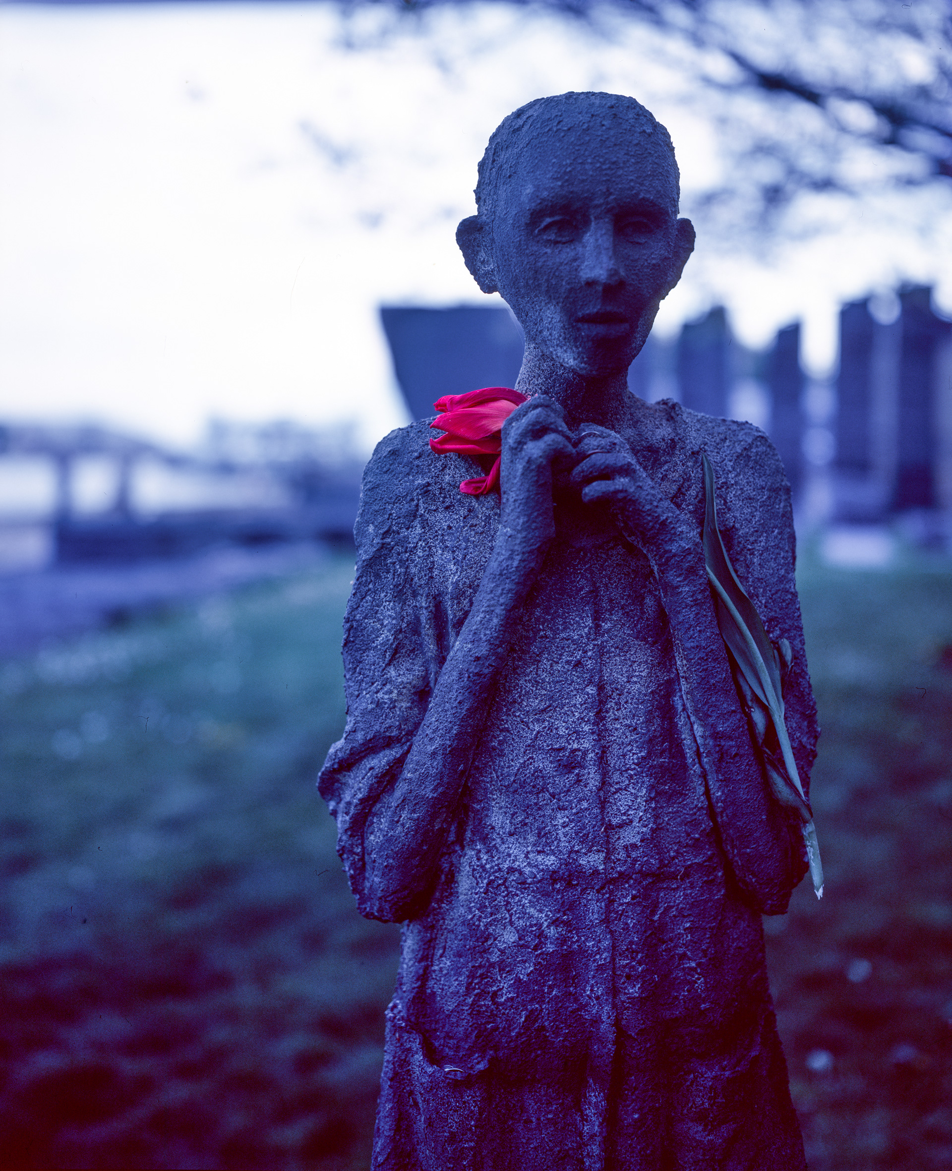2024-05-12 - 4x5 slide