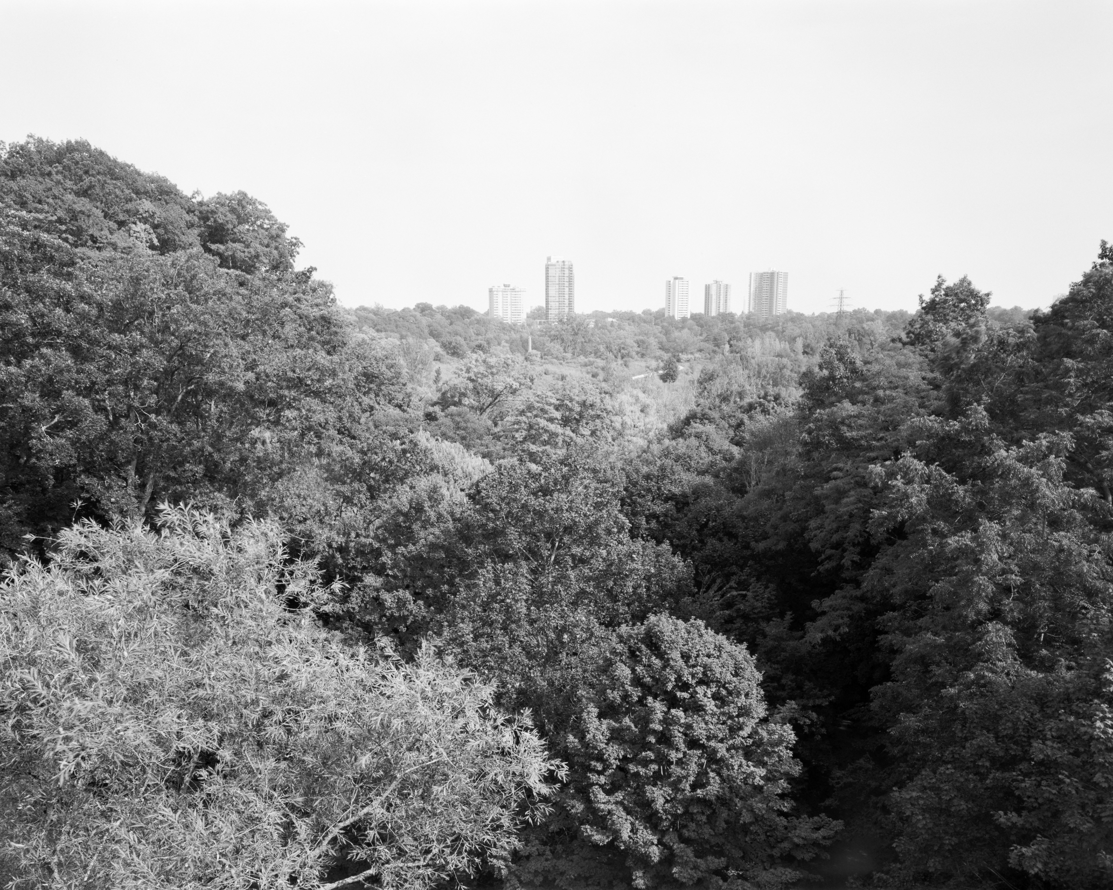 2025-08-16 - 4x5 film