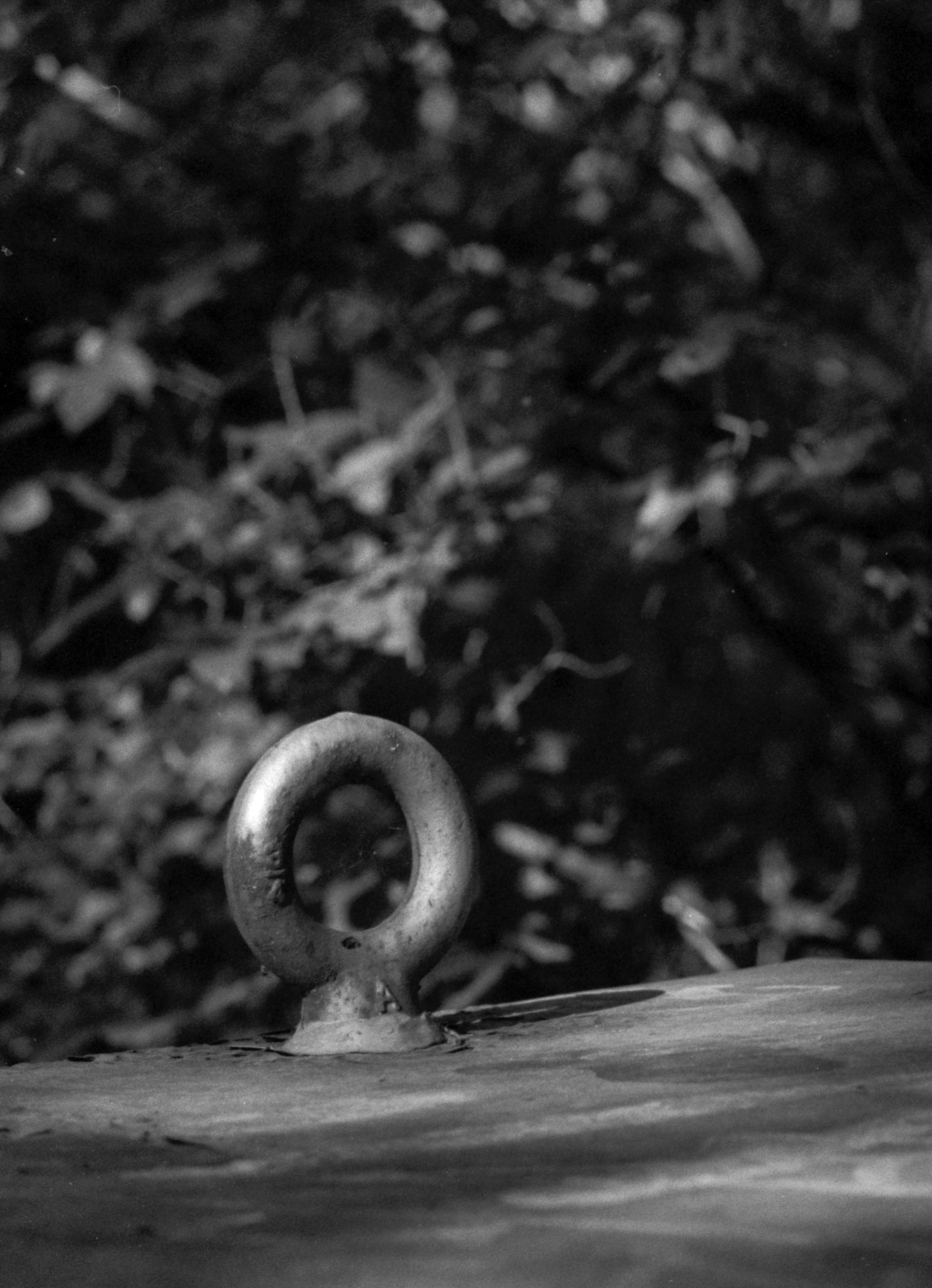 2024-10-12 - 35mm film