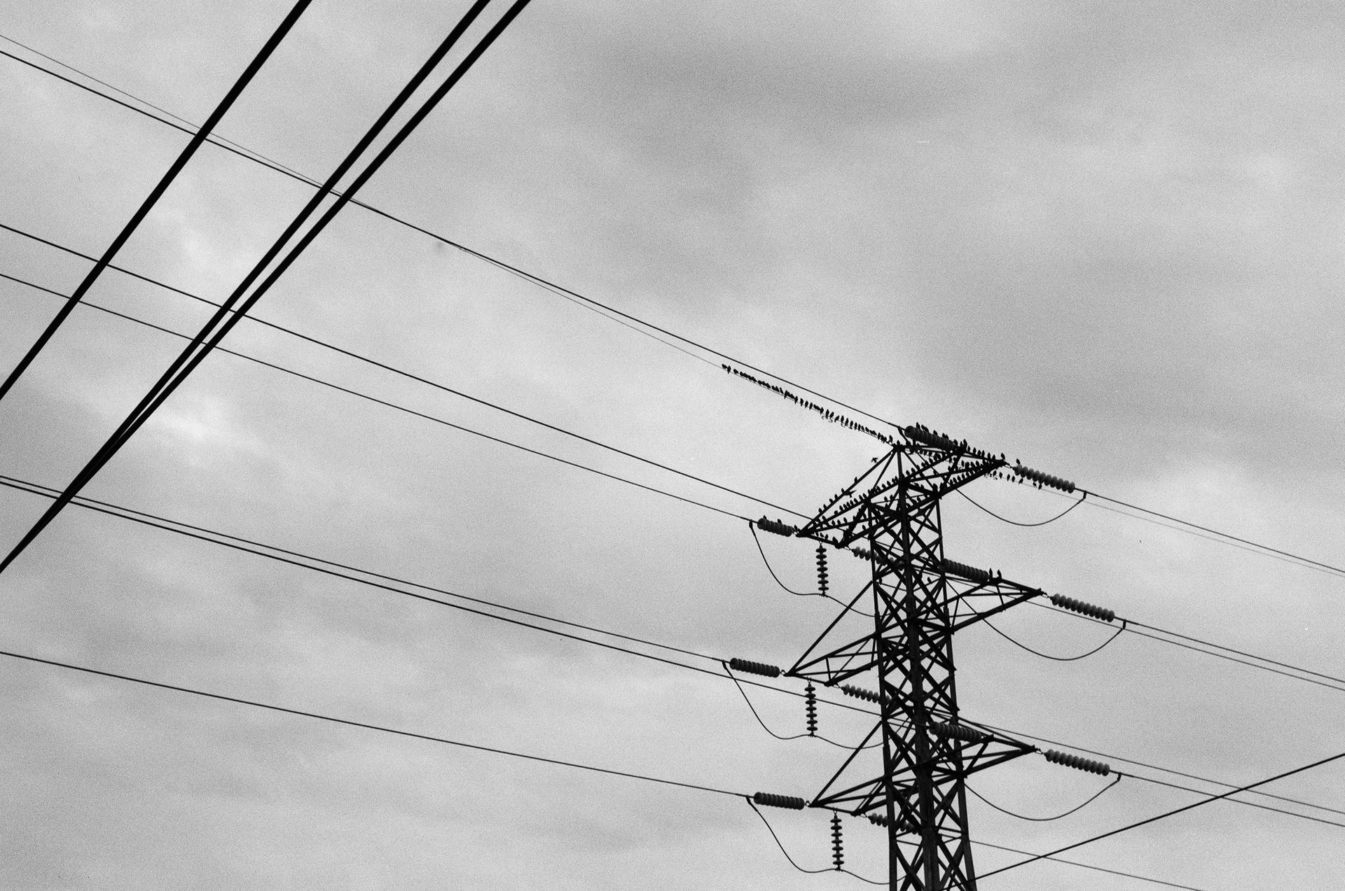 2022-12-02 - 35mm film