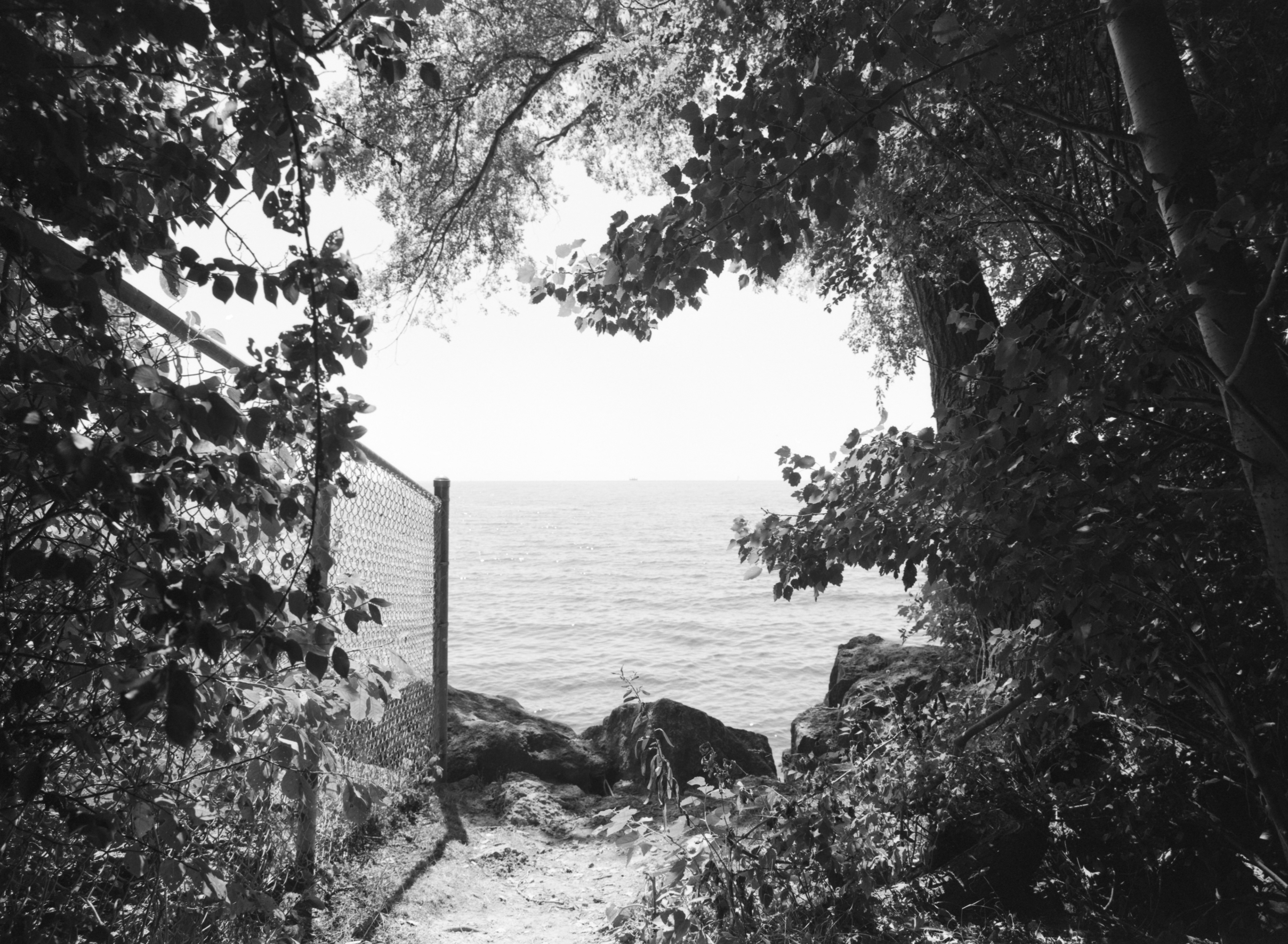 2025-09-01 - medium format film