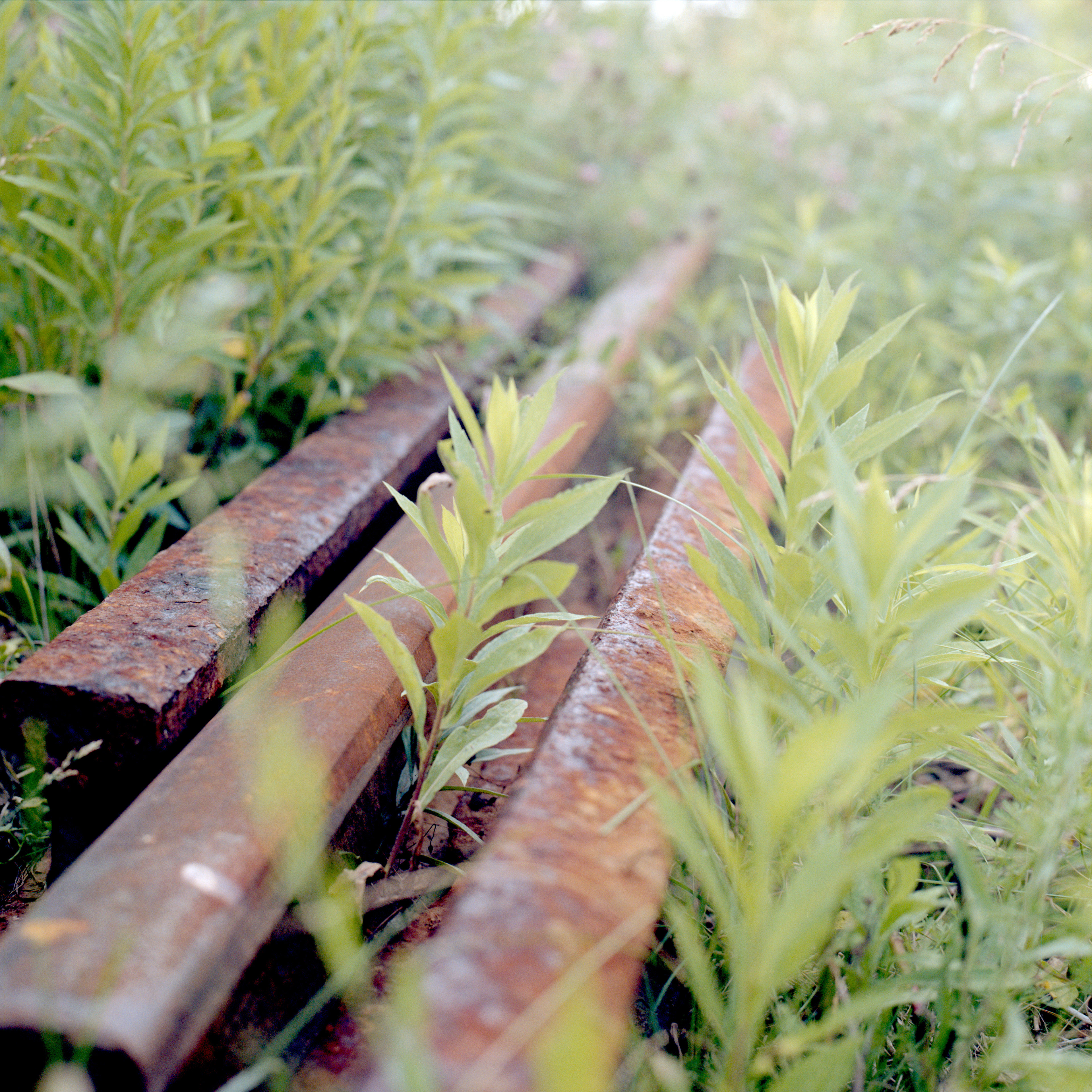 2023-07-13 - medium format film
