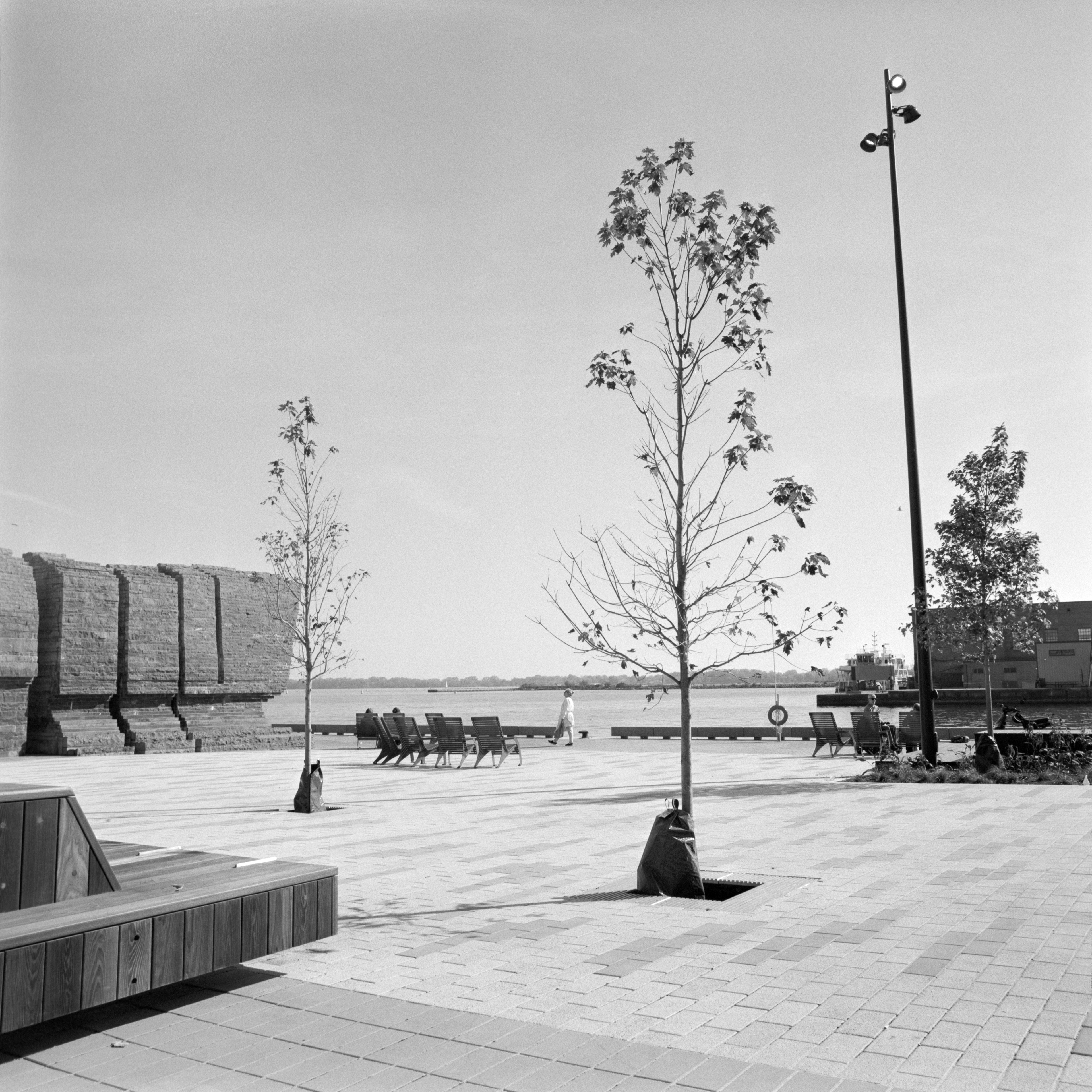 2024-10-22 - medium format film