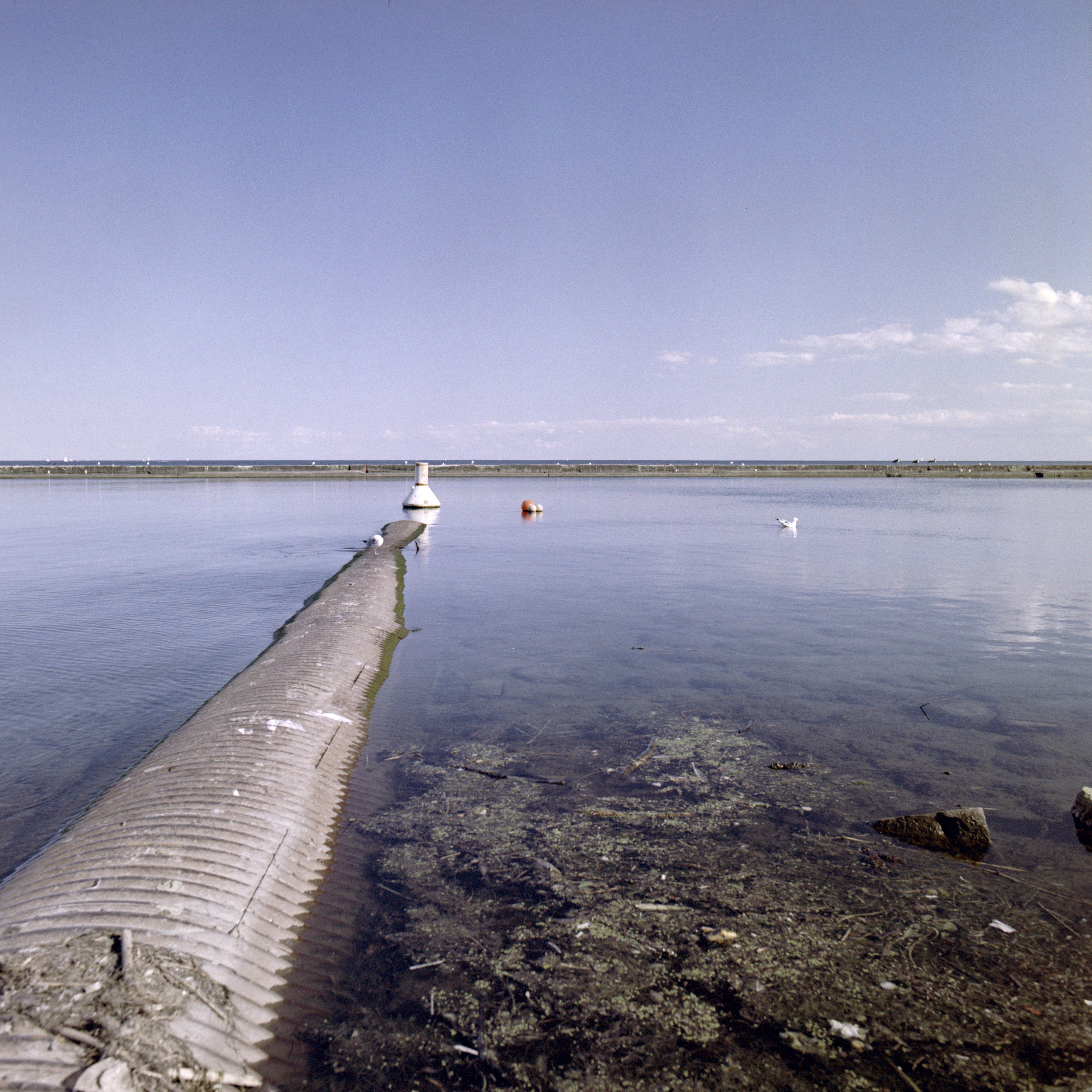 2024-07-25 - medium format film