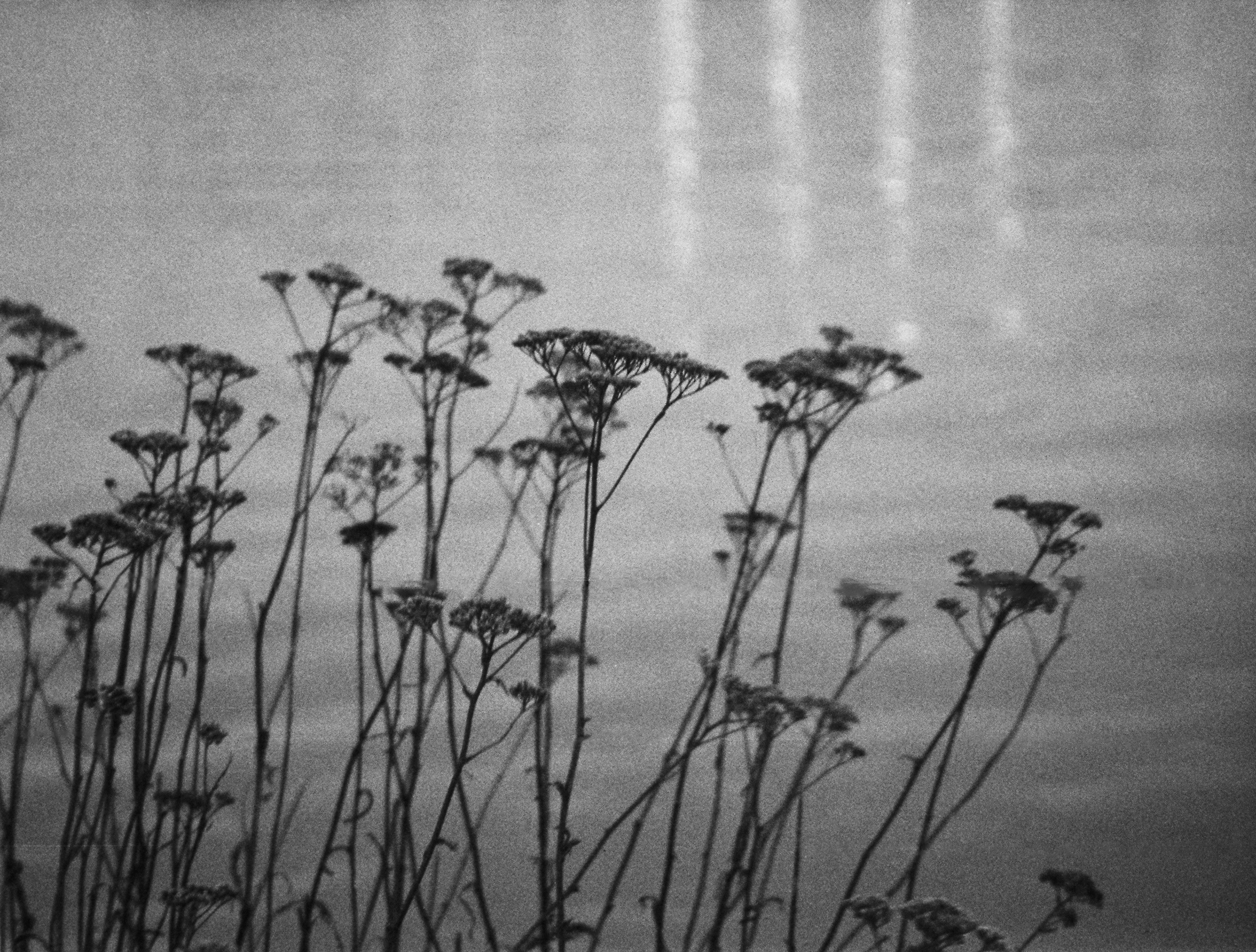 2024-12-24 - 110 film