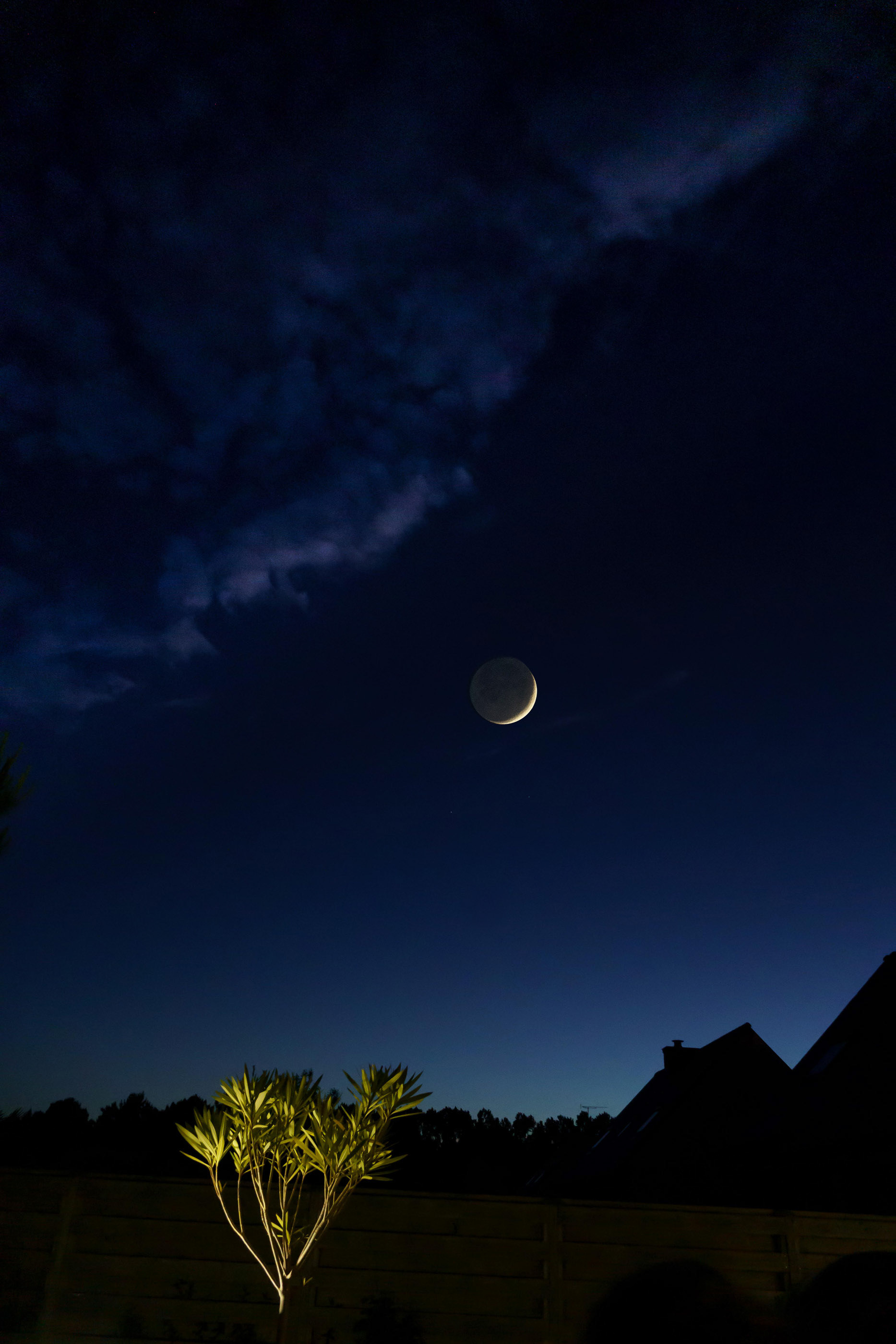 La lune cendrée de François Aug