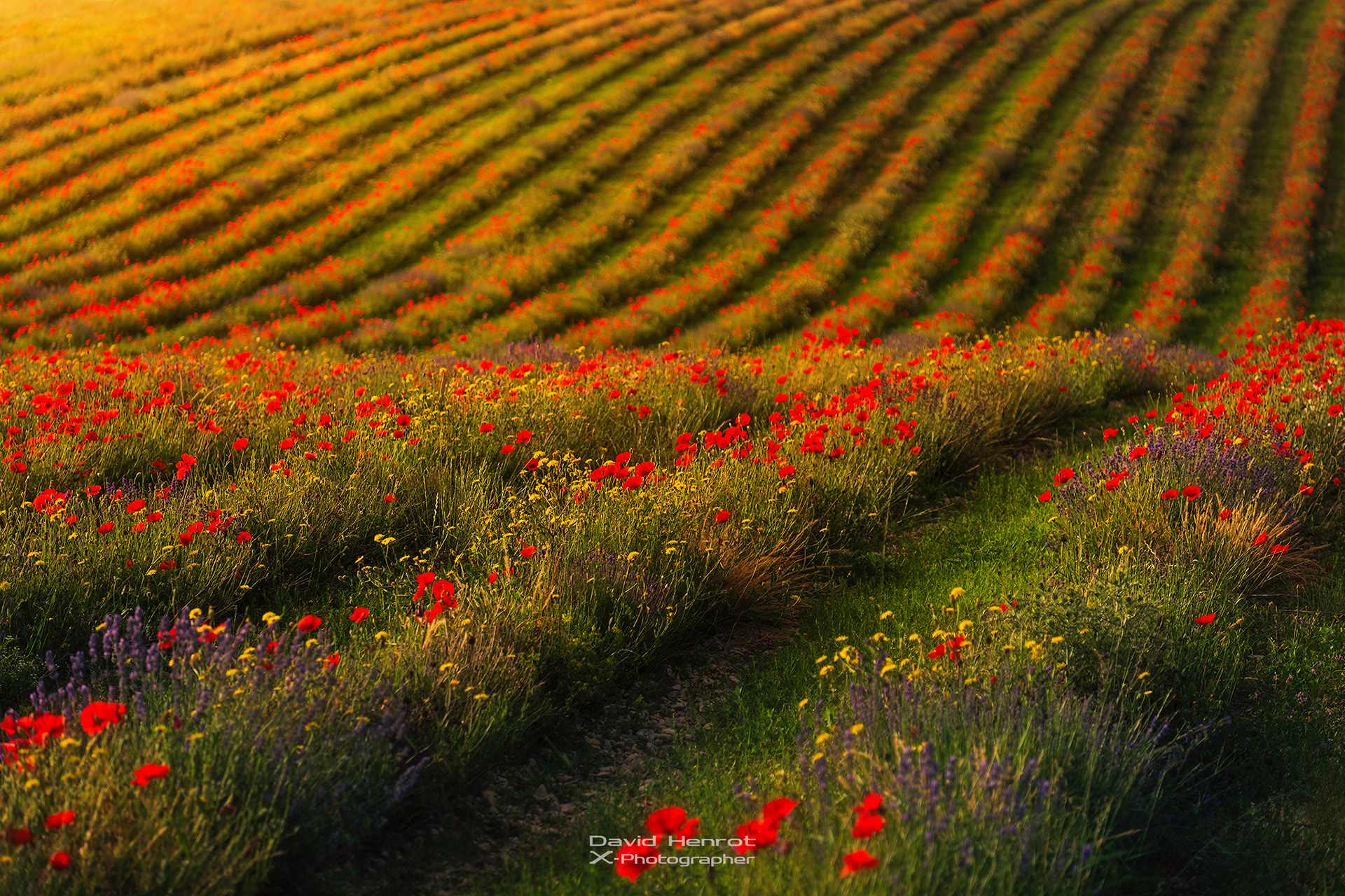 Ferrassières, Drôme provençale