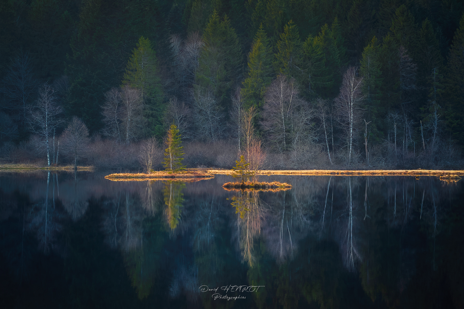 Les îlots du Lac de Lispach, Vosges