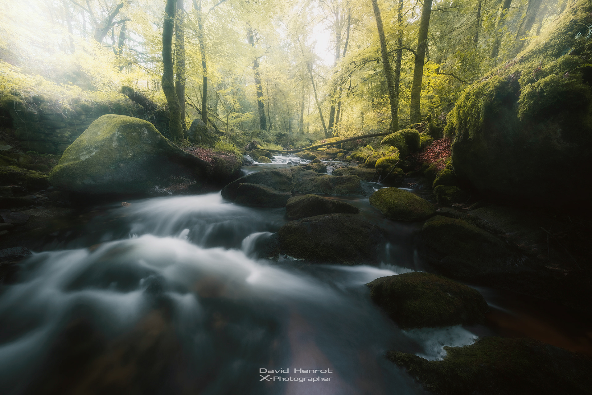 Le Ruisseau du Pic, Saint-Pardoux-Morterolles, Creuse