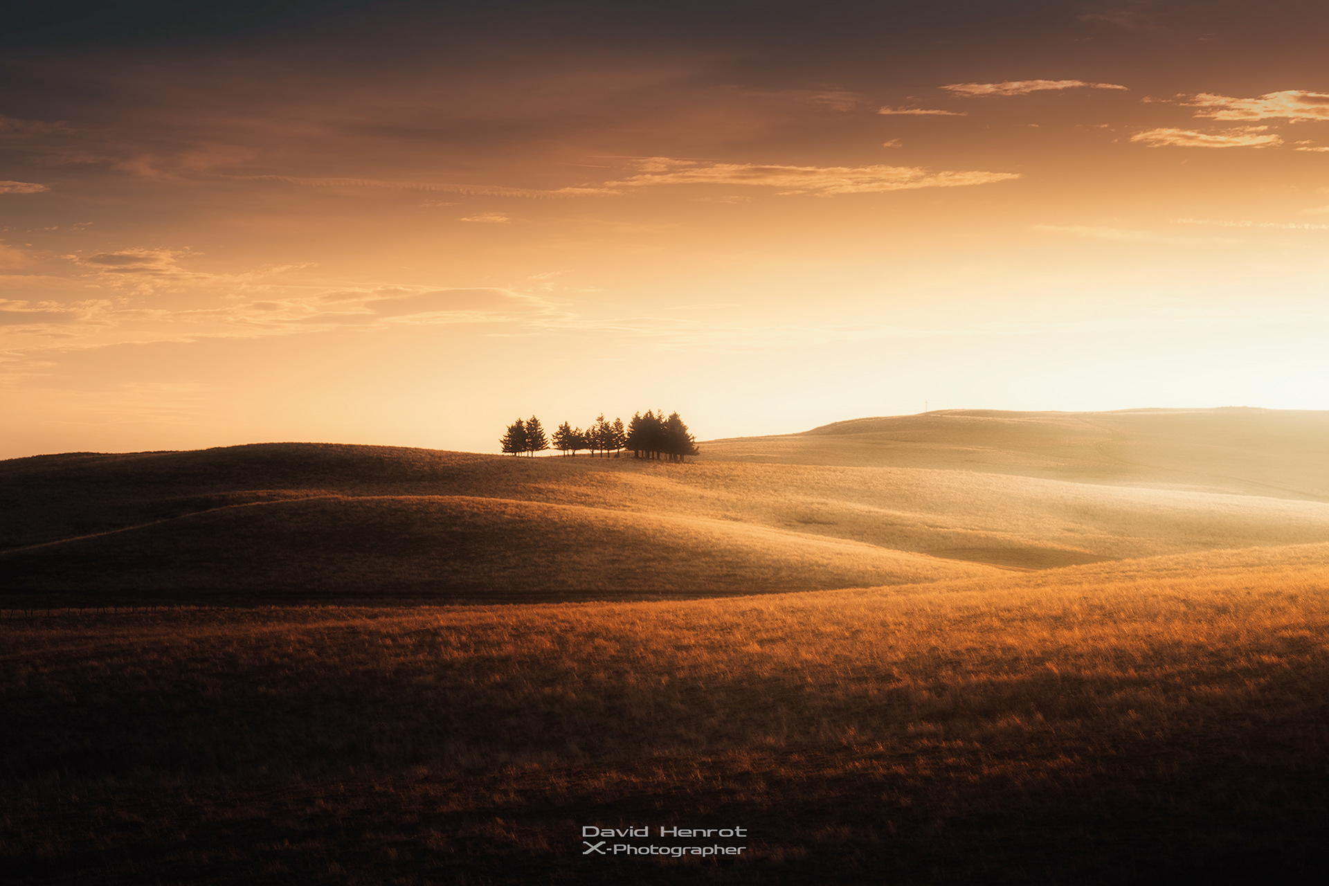 Le Plateau de l'Aubrac, Lozère