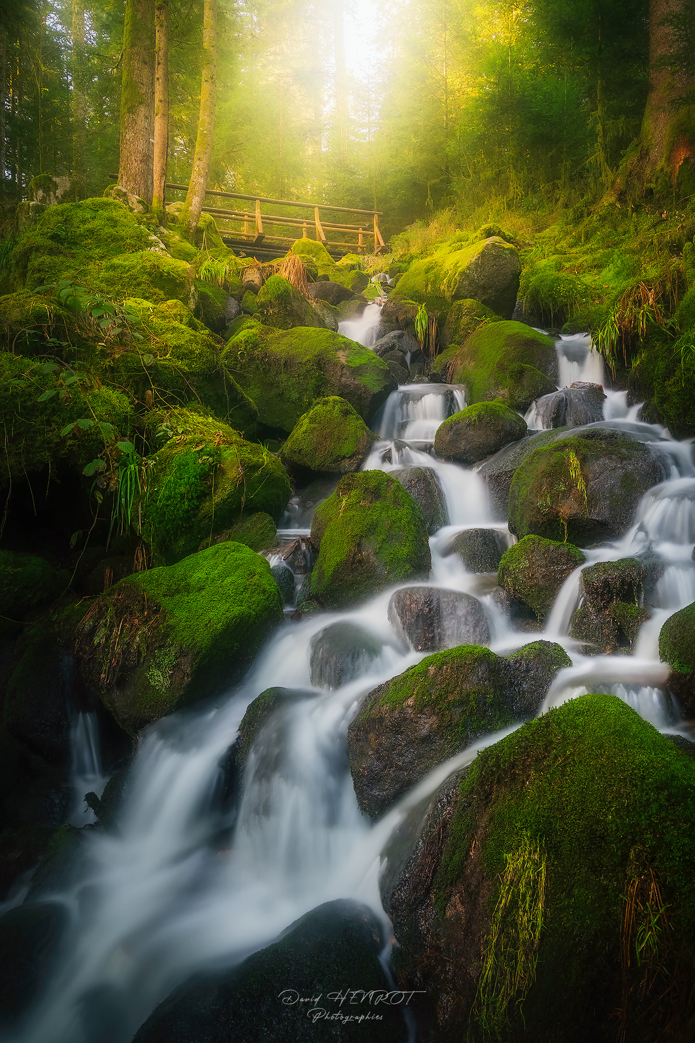 Le Ruisseau de Mérelle, Vosges