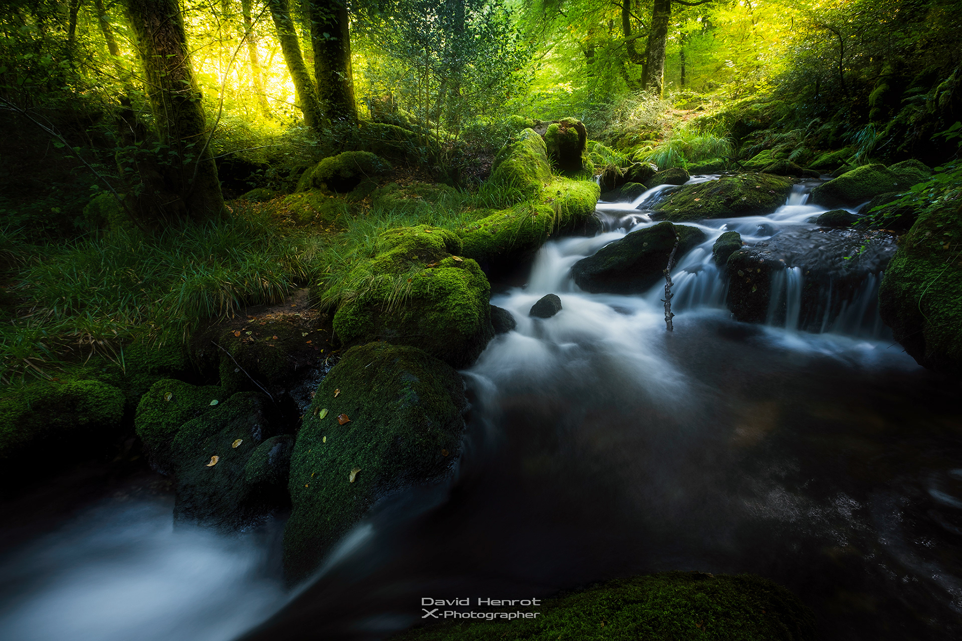 Le Ruisseau du Pic, Saint-Pardoux-Morterolles, Creuse
