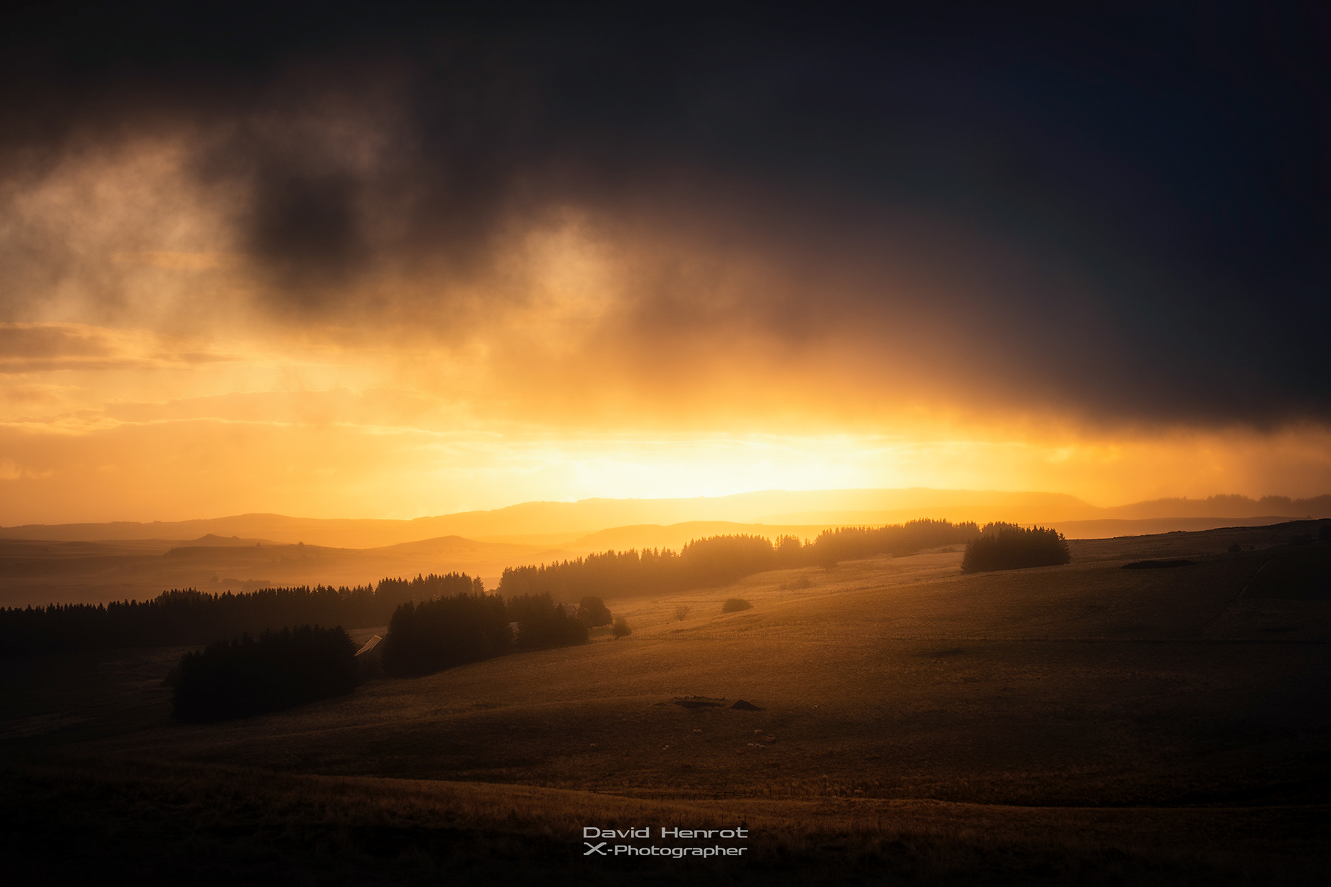 Le Plateau de l'Aubrac, Lozère