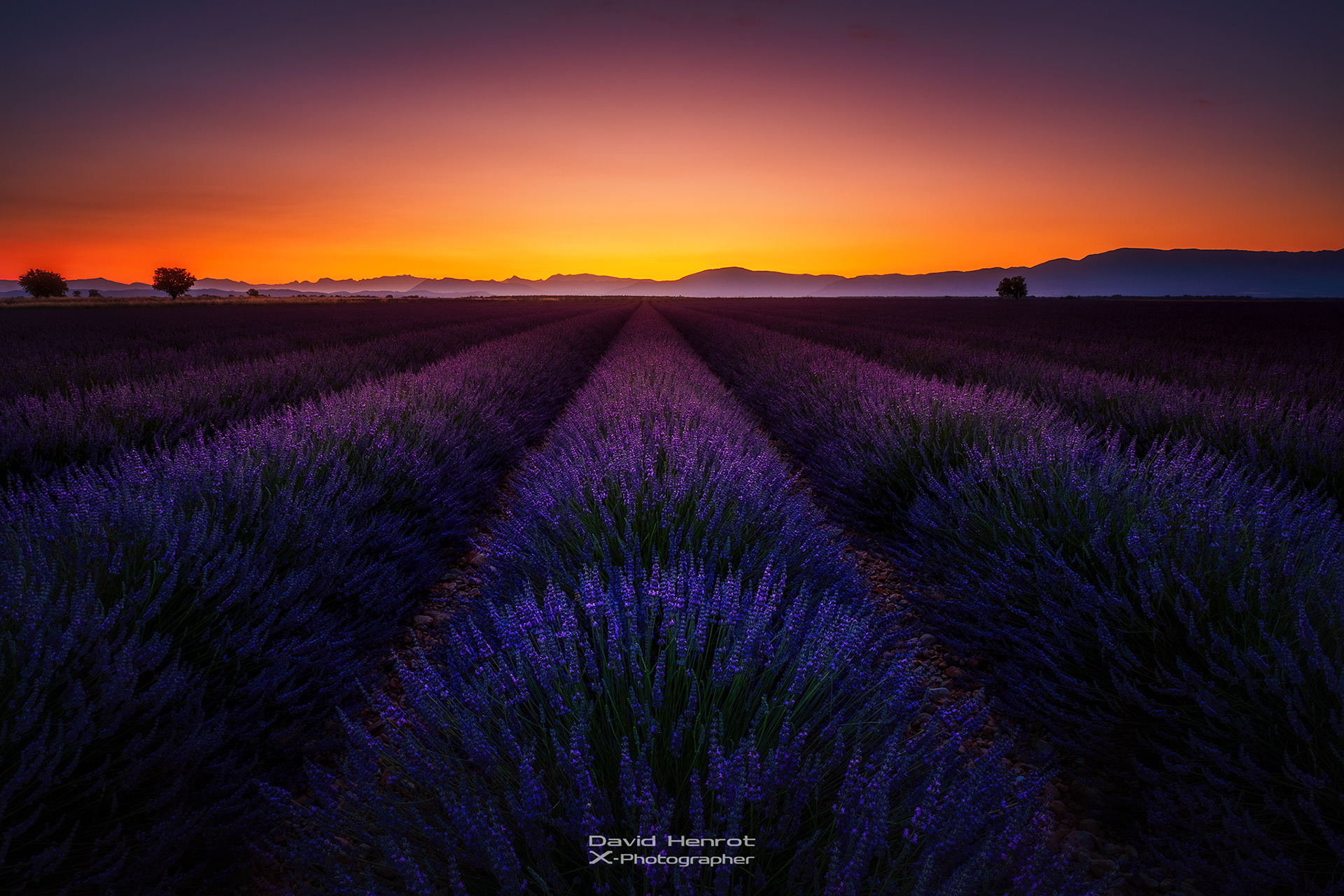 Le Plateau de Valensole, Alpes-de-Haute-Provence