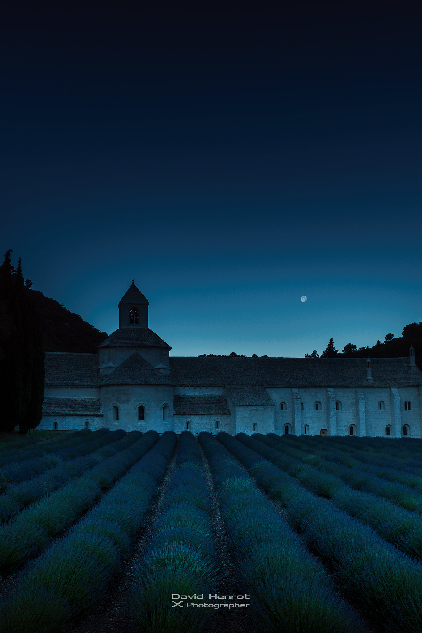 L'Abbaye de Sénanque, Gordes, Vaucluse