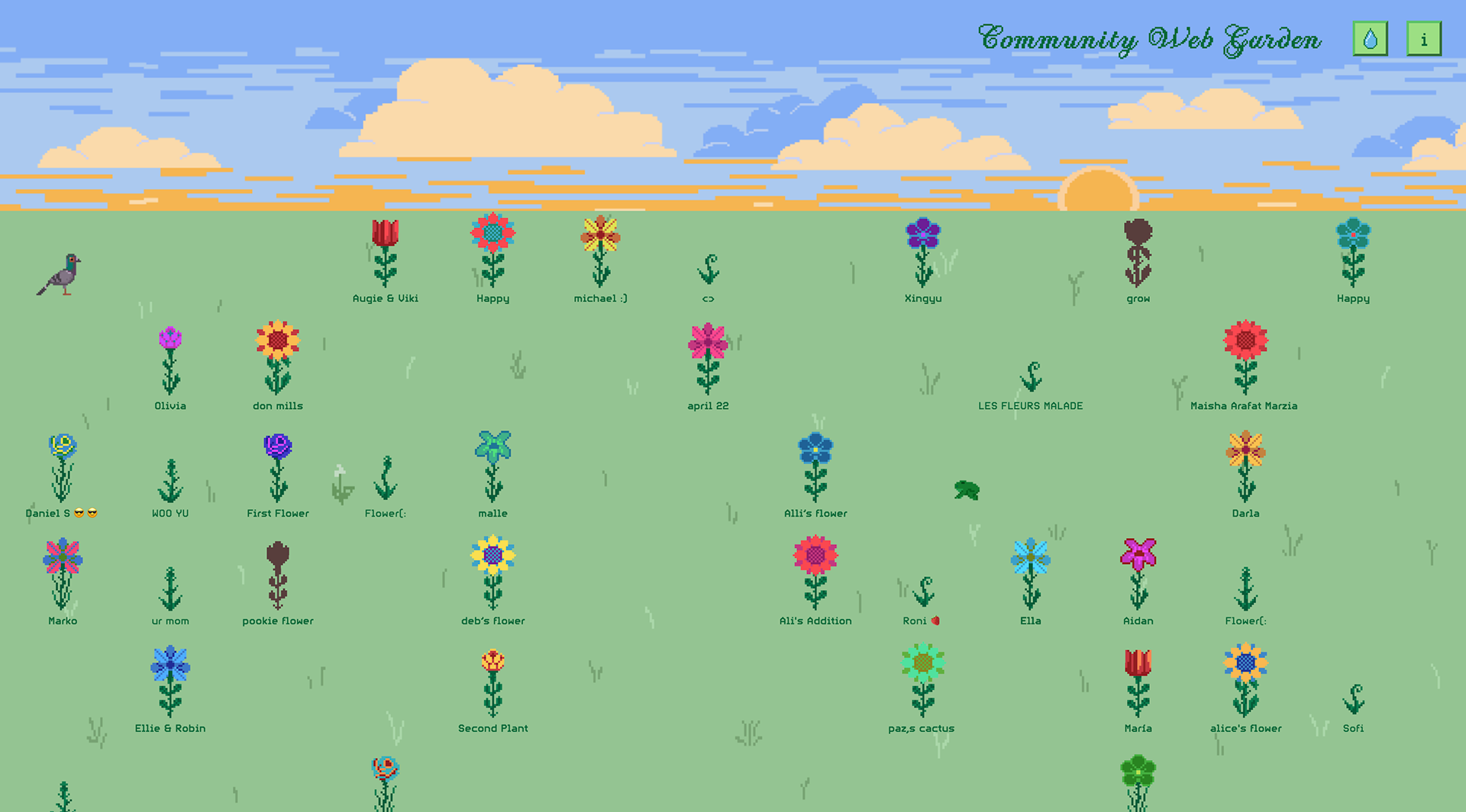 Sunset version of the garden.