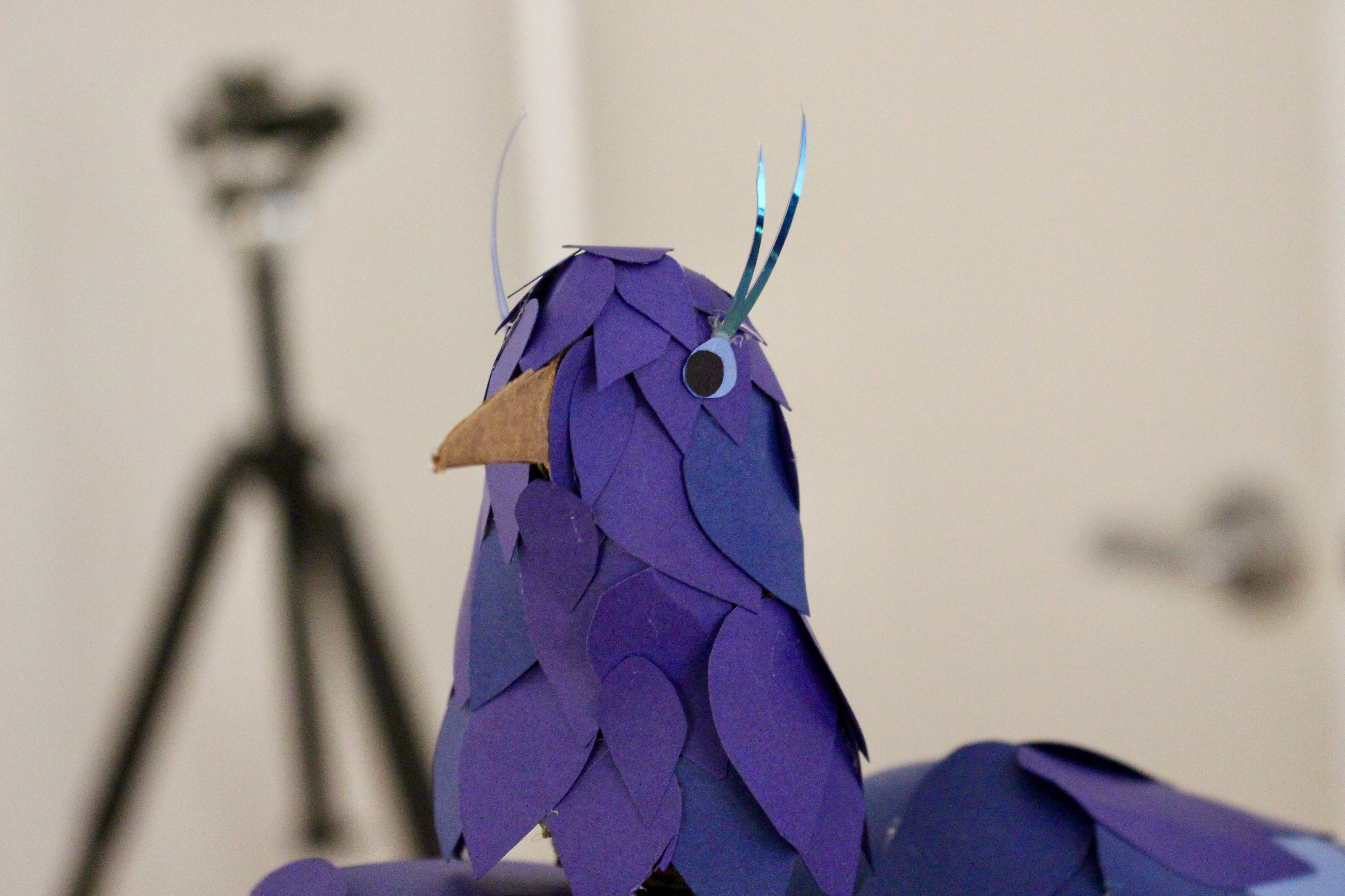 Close-up of bird’s head and feathering details.