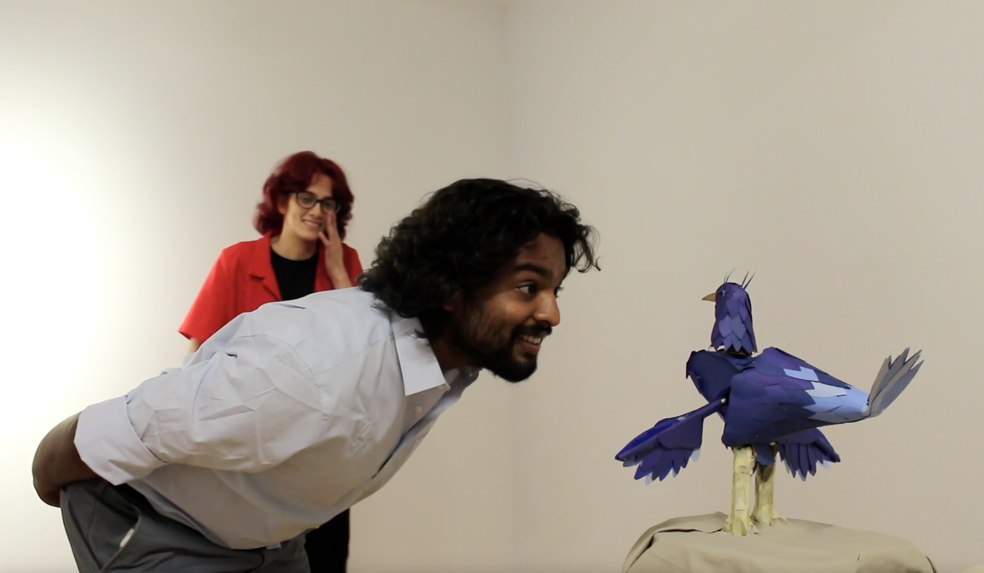 Bird interaction example: the bird was uncomfortable with direct staring.