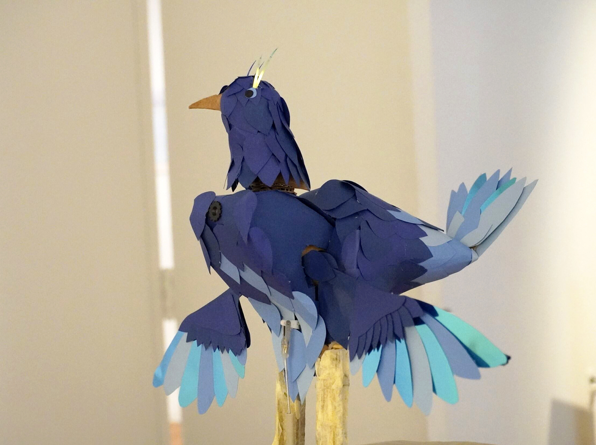 The bird in full.
