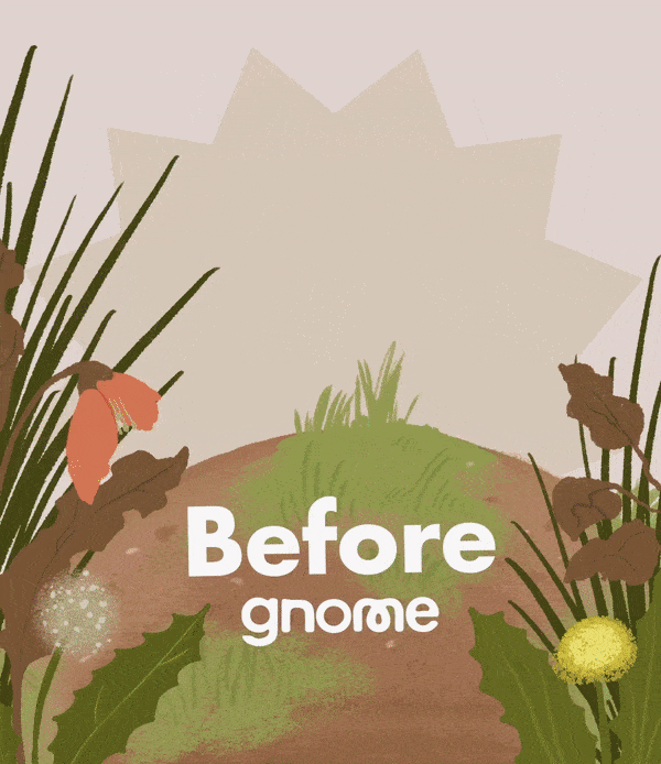 Animation for FB Ads