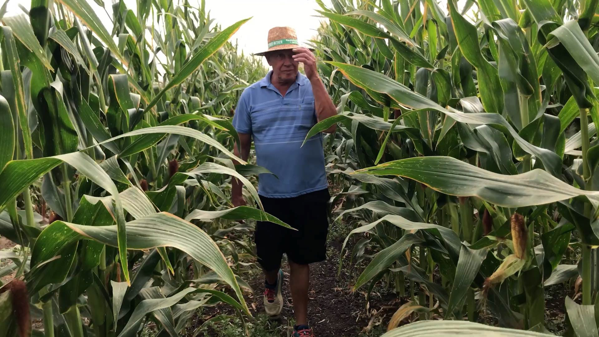 El Palmar (Vejer de la Frontera, Cádiz)