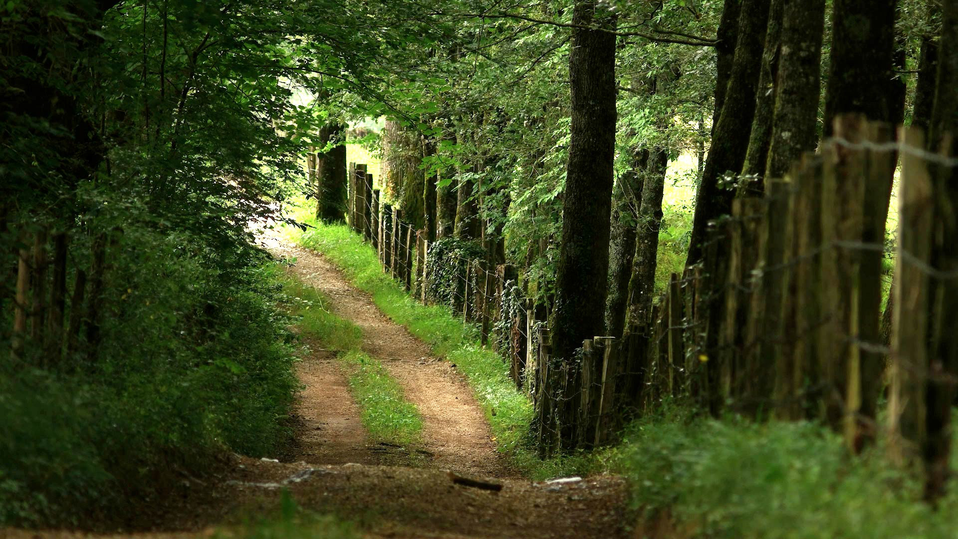 Valle de Baztán (Navarra)