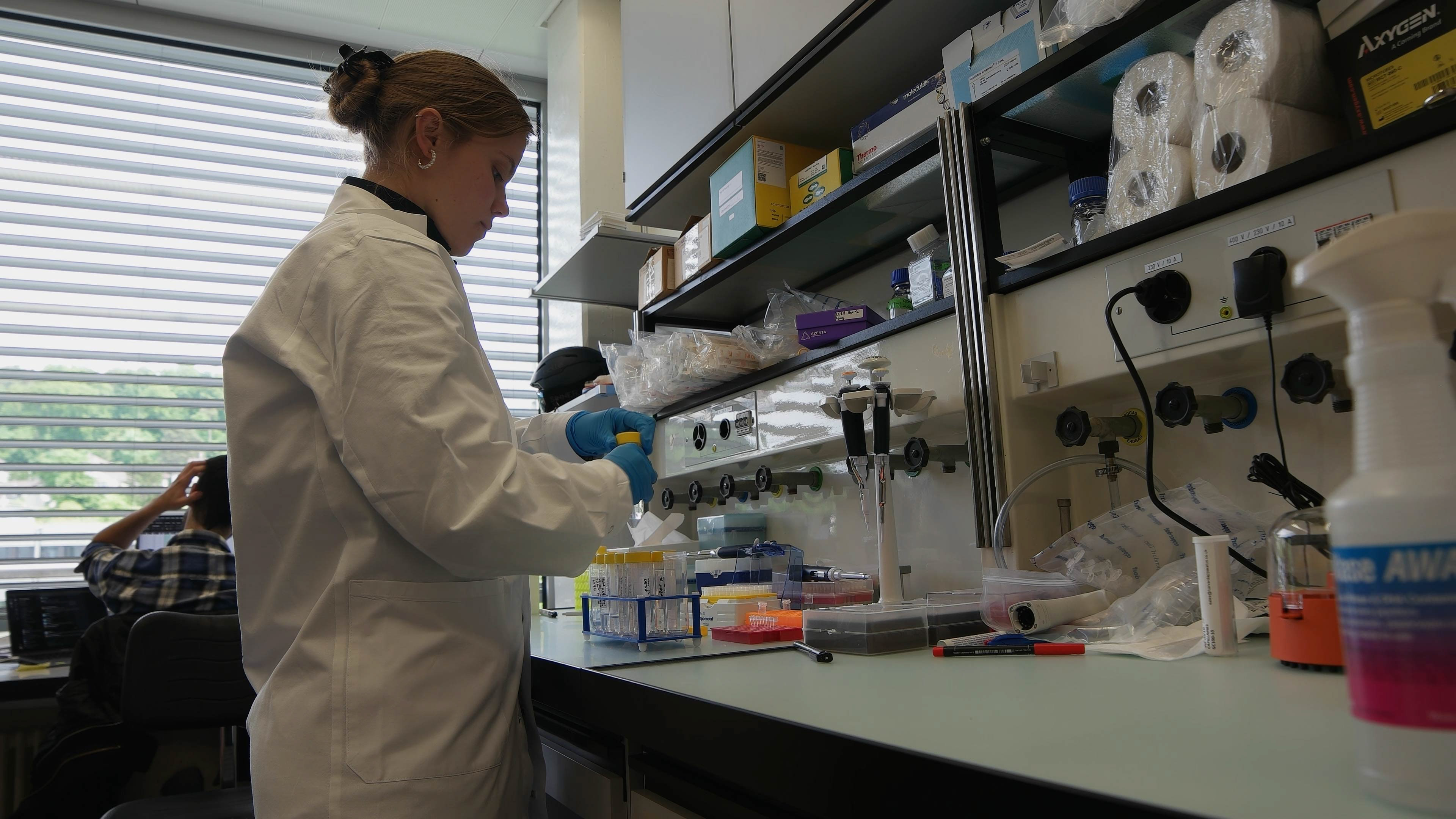 Laboratorio Isabelle Mansuy