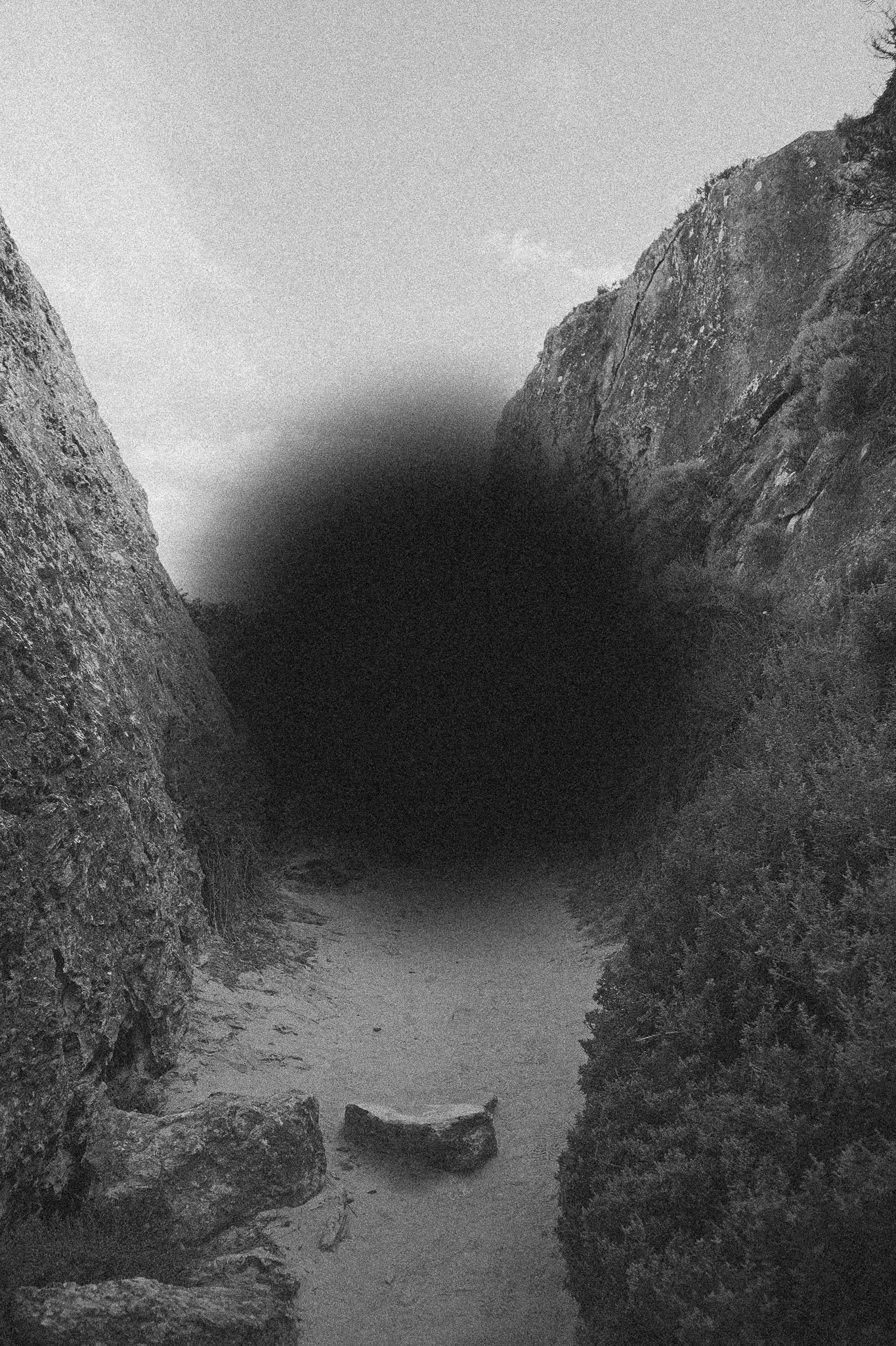 The Black Hole series (ii)