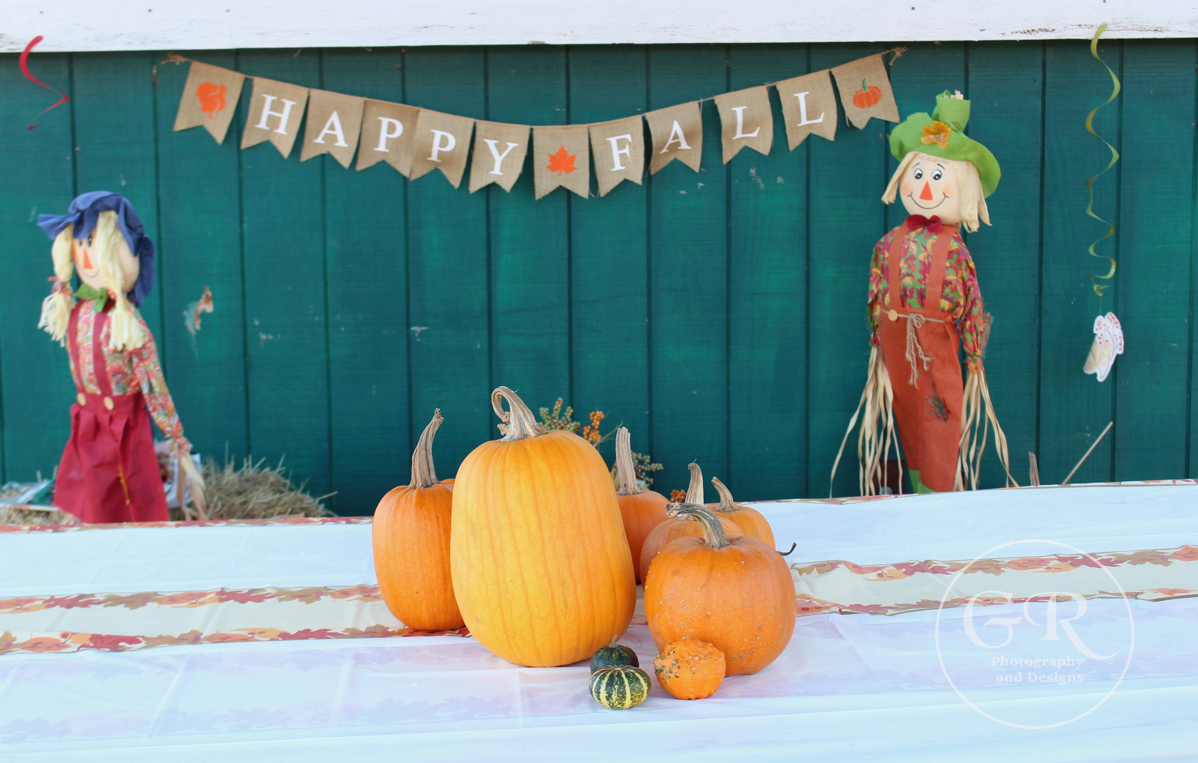 Corwith's Farmstand, Watermill NY