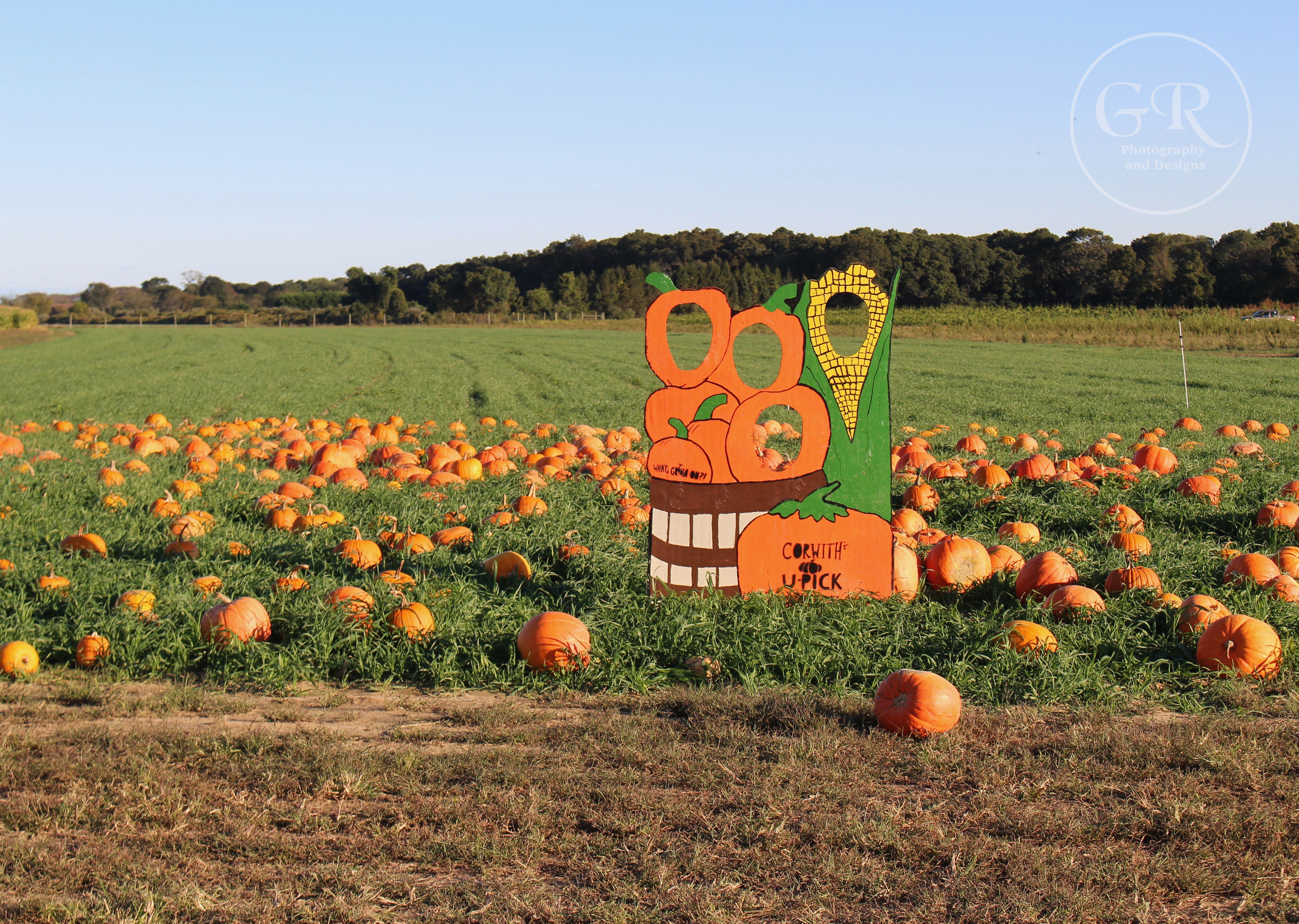 Corwith's Farmstand, Watermill NY