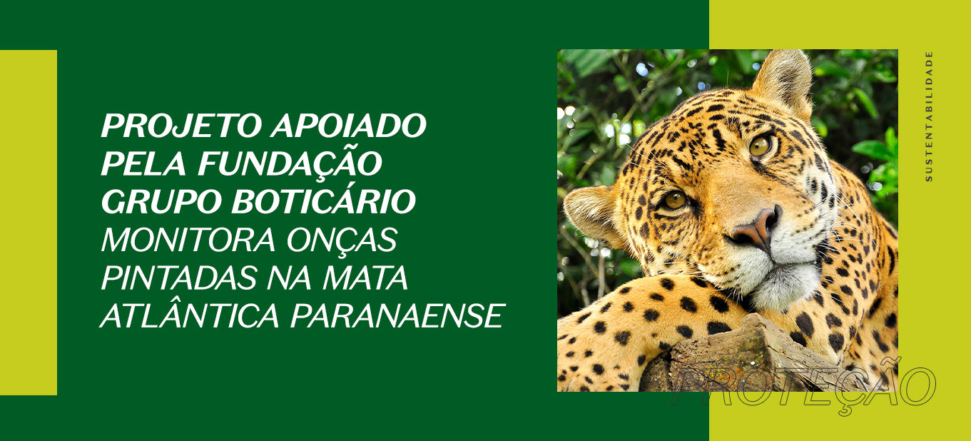 https://www.boticario.com.br/dicas-de-beleza/programa-apoiado-pela-fundacao-grupo-boticario-monitora-populacao-de-oncas-pintadas-na-serra-do-mar-paranaense-e-alerta-sobre-sobrevivencia-da-especie-na-regiao/