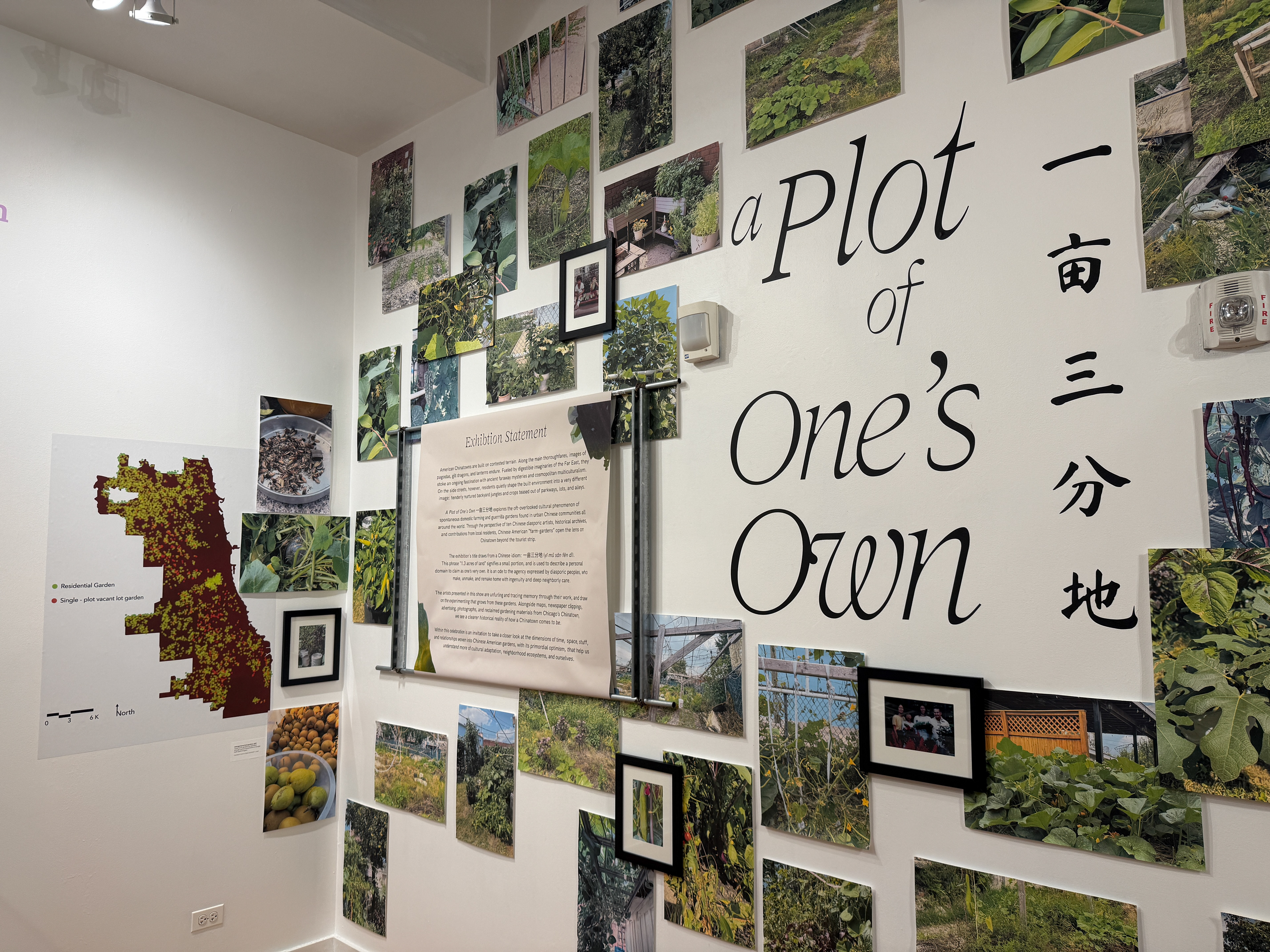 A Plot of One's Own