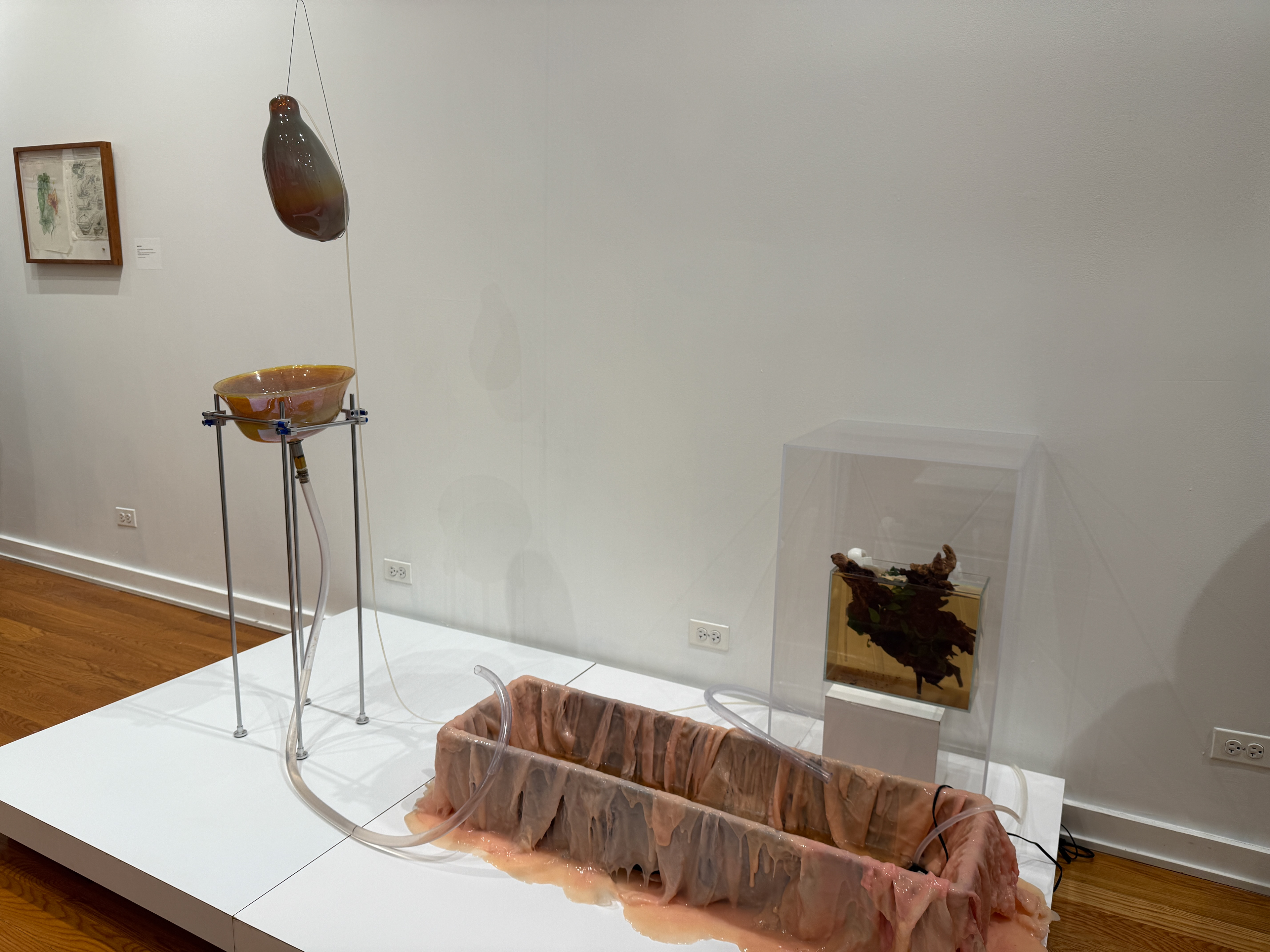 Exhibition View